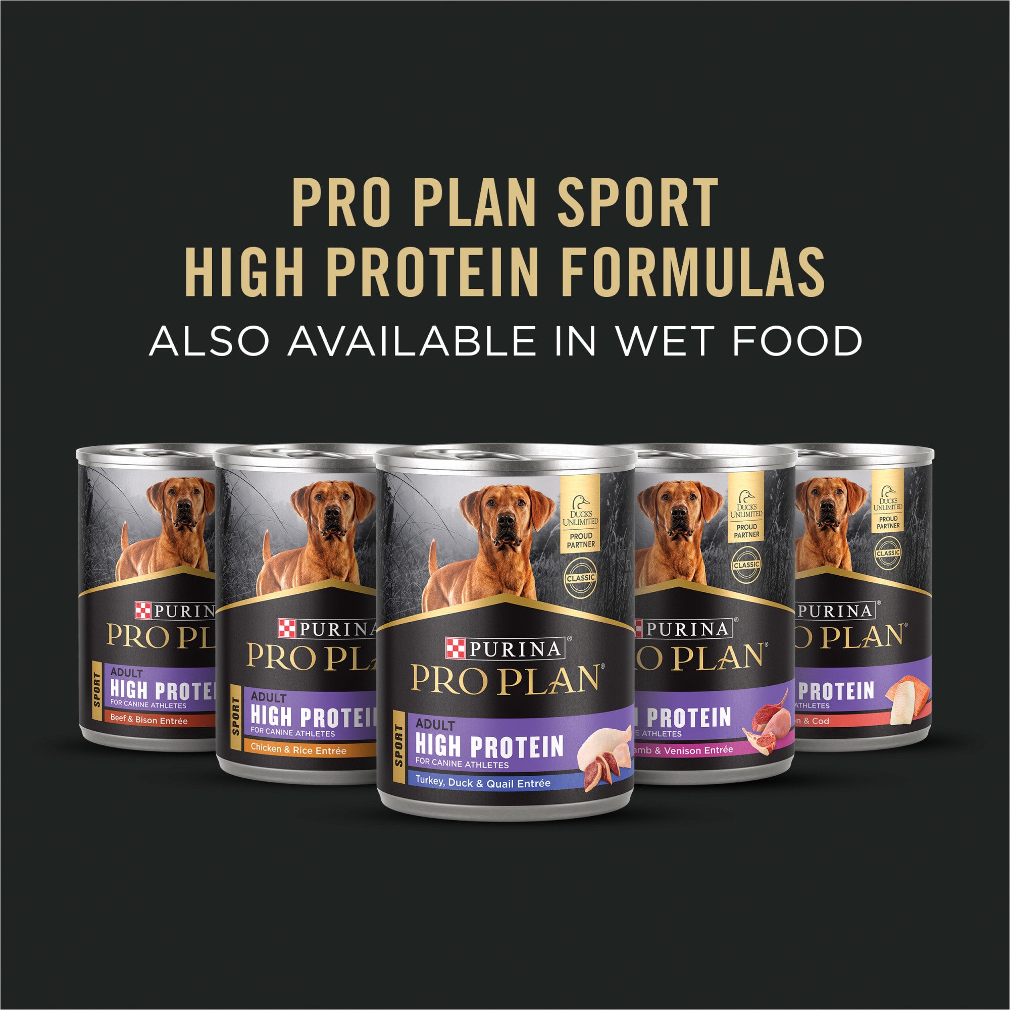 Petco pro plan clearance sport