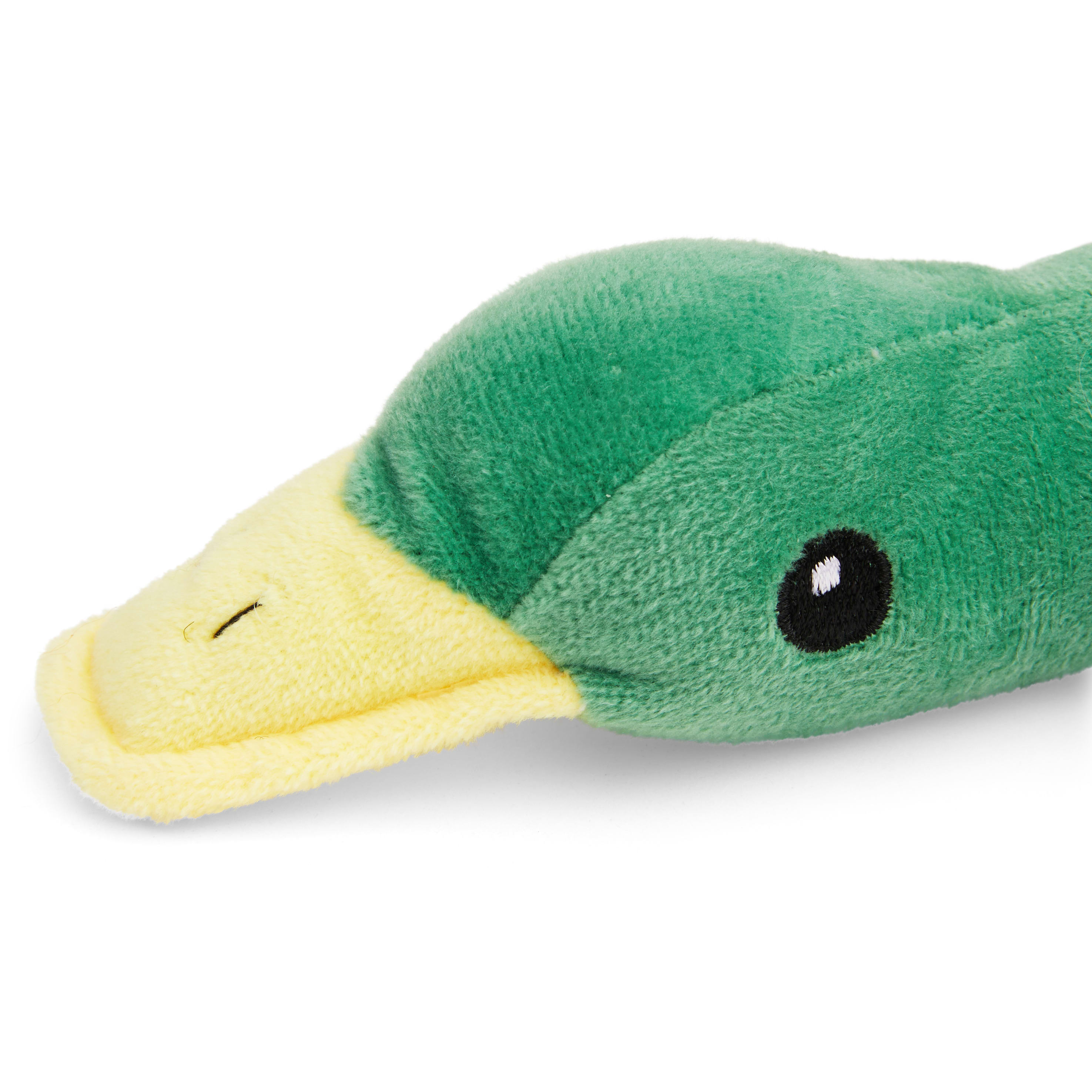 American classic mallard outlet dog toy large