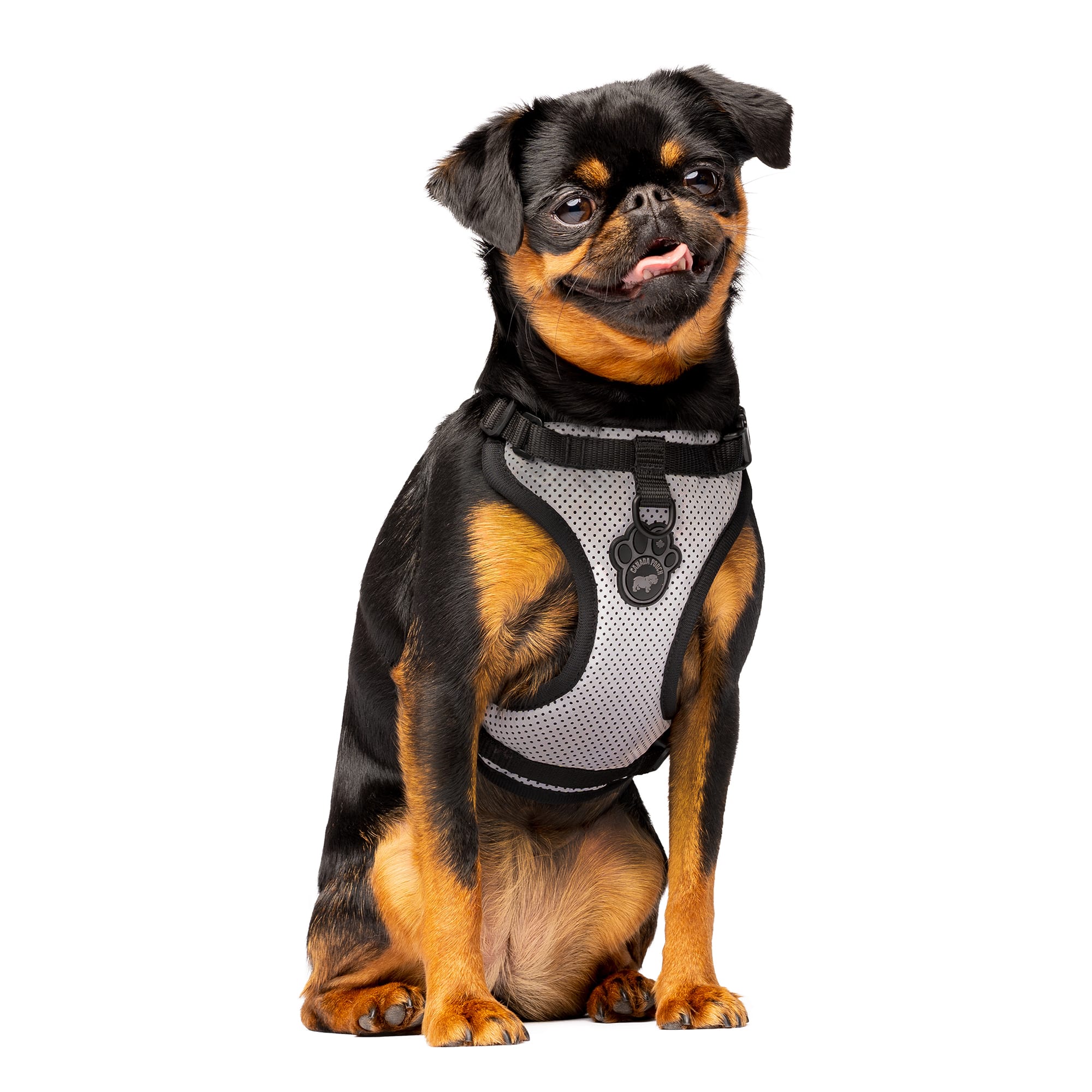 Canada Pooch Reflective Everything Dog Harness Small Petco