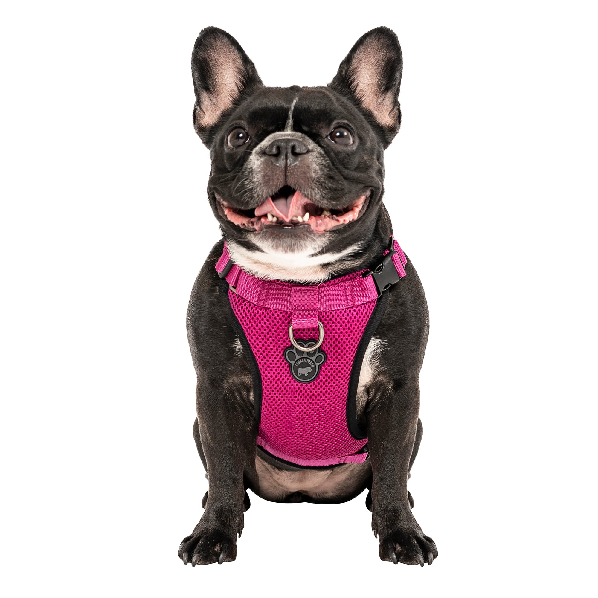 Canada Pooch Small Pink NoPull Dog Harness & Comfort Fit