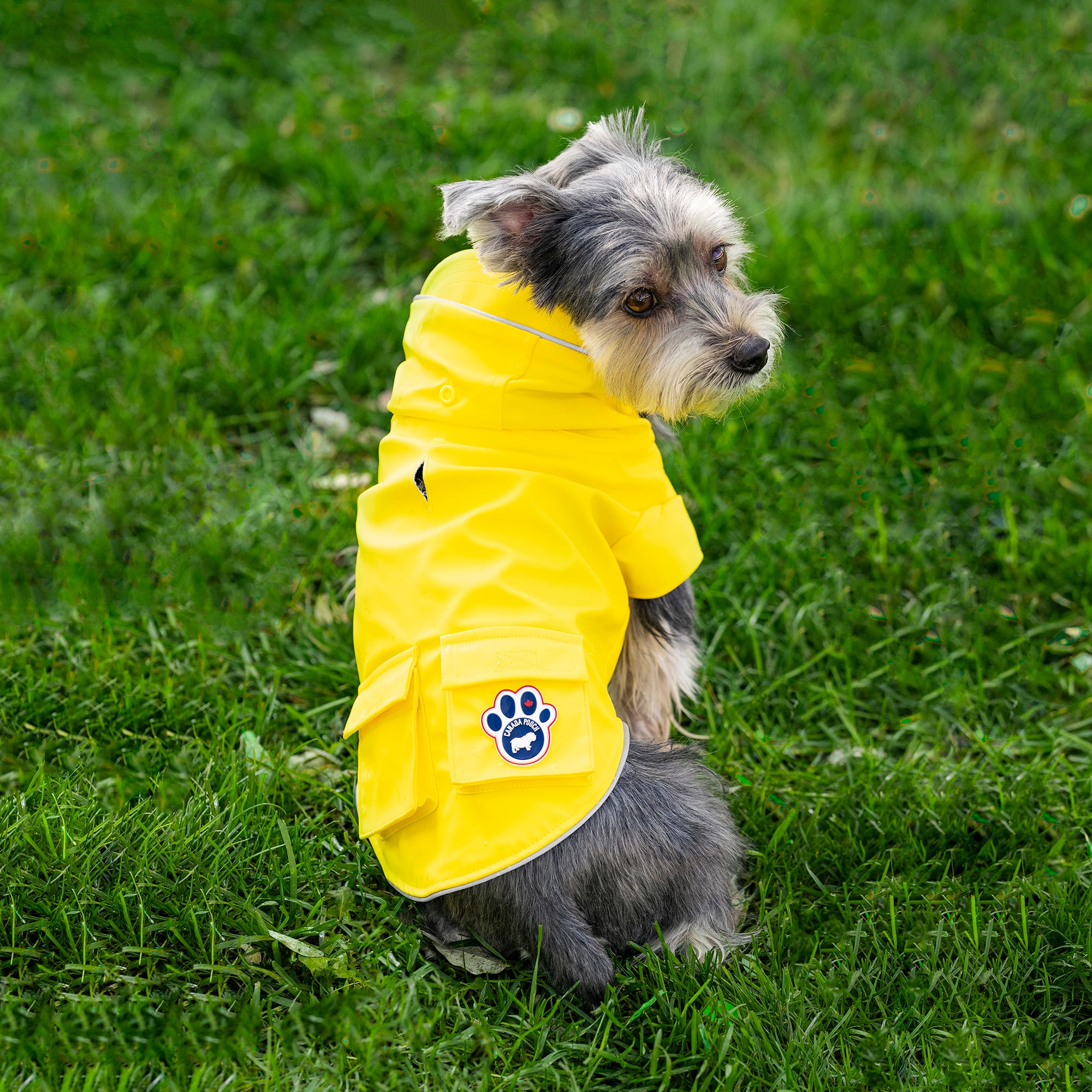 Canada pooch yellow store raincoat