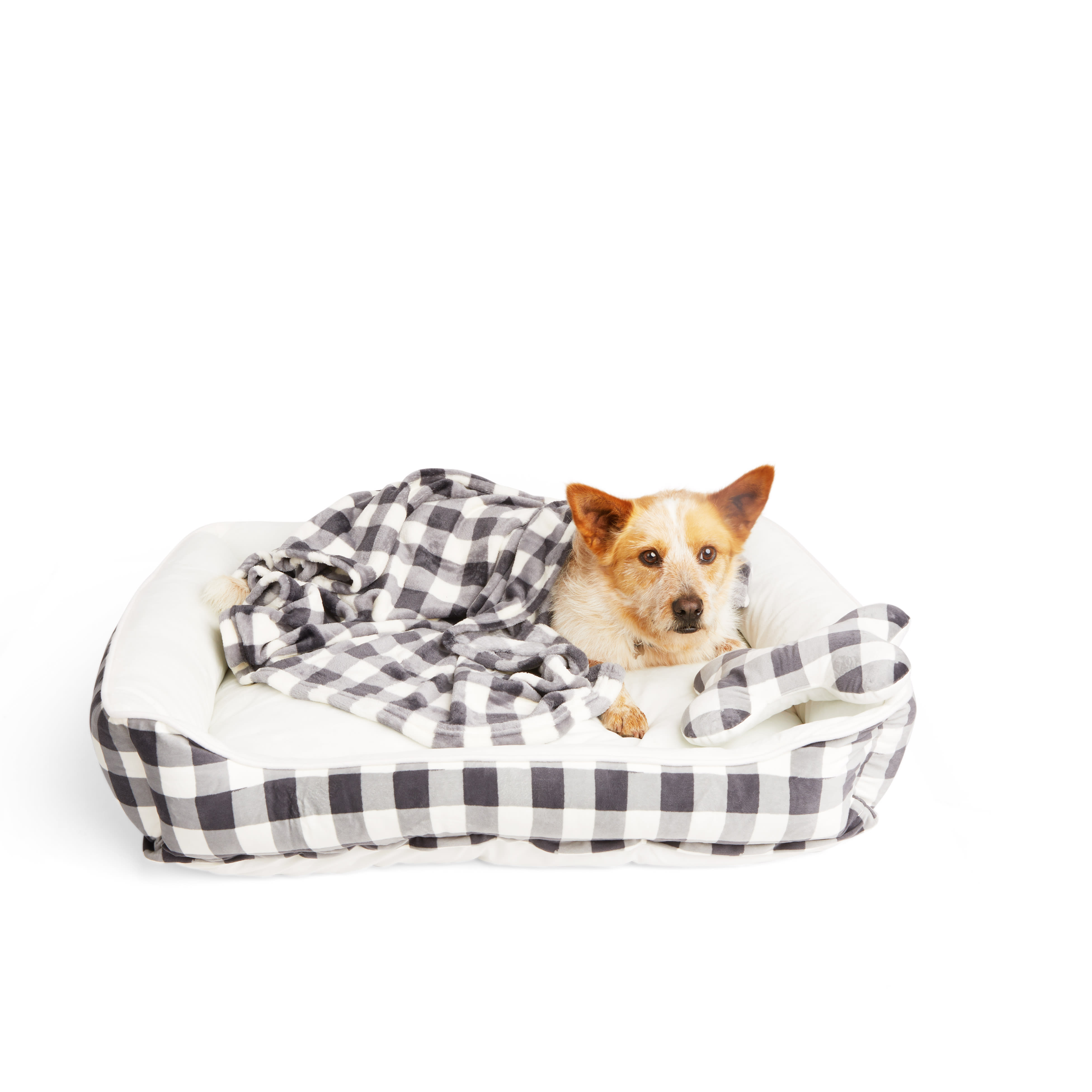 EveryYay Essentials Dog Bed Bundle, 22