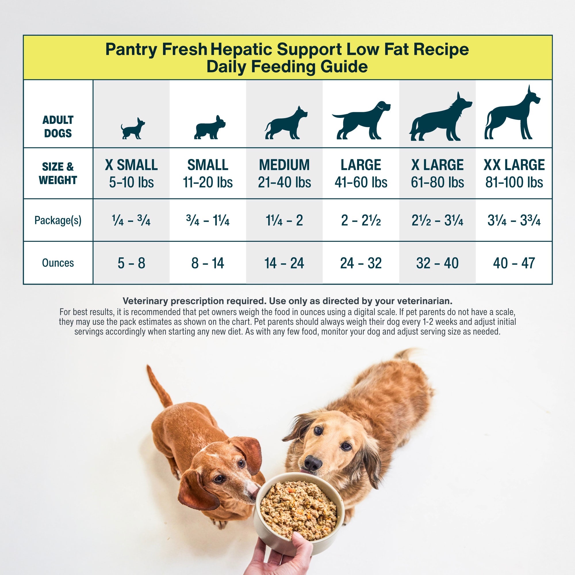 How Much Fat Should Be in Dog Food: Essential Guide for Pet Health