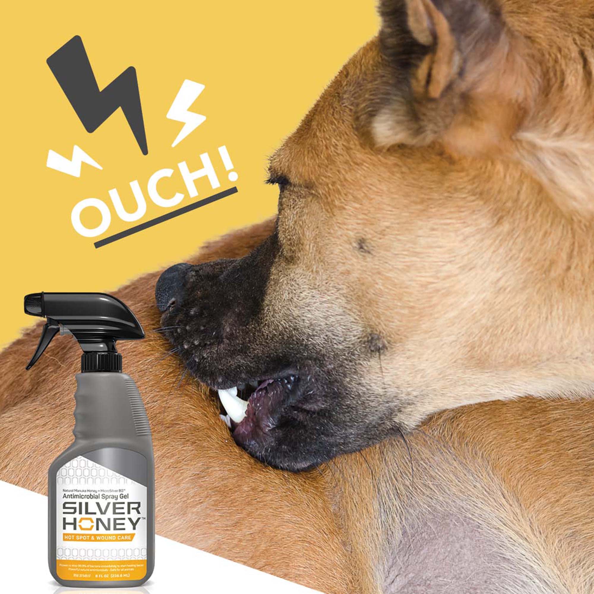 Silver Honey Hot Spot Wound Care Spray Gel for Dogs, Petco