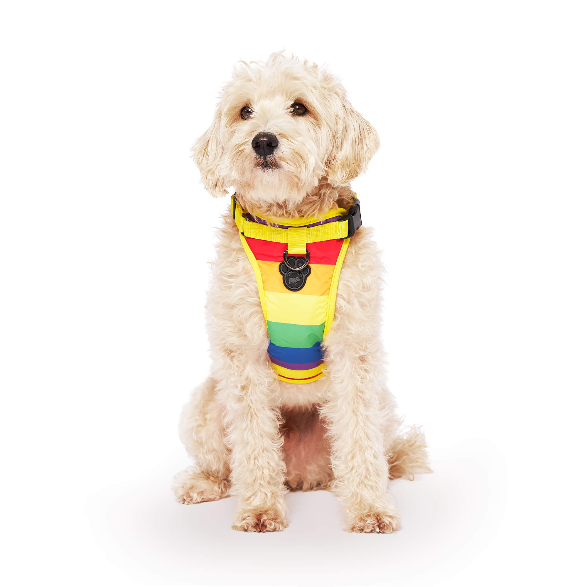 Canadian dog outlet harness