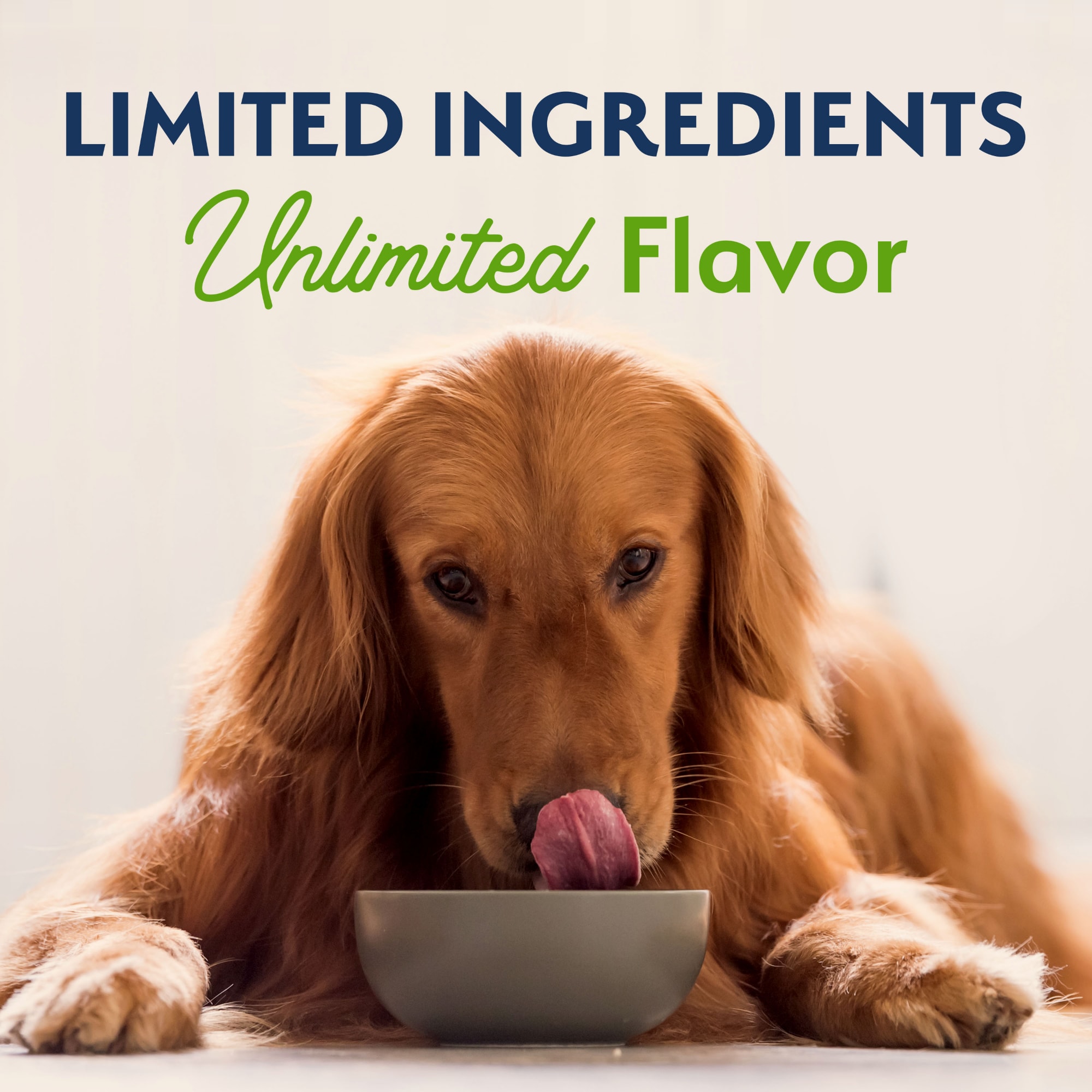 Natural Balance Limited Ingredient Adult Dry Dog Food with Vegan