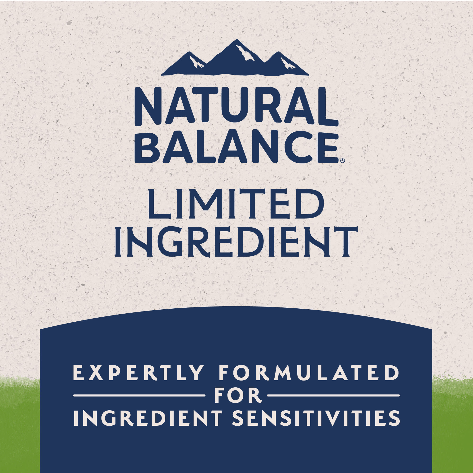 Natural Balance Limited Ingredient Adult Dry Dog Food with Vegan