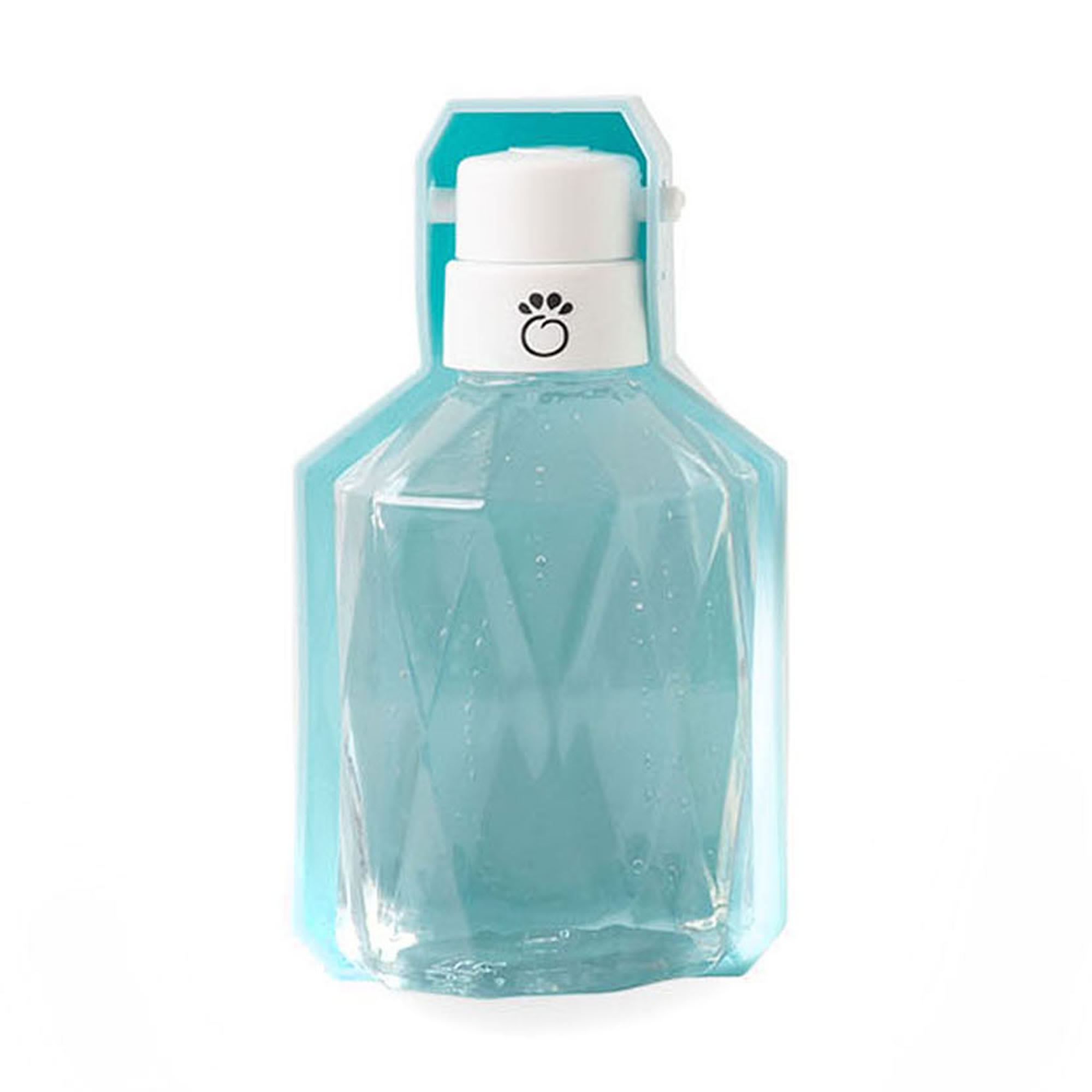 GF Pet Blue Water Bottle for Dog Petco