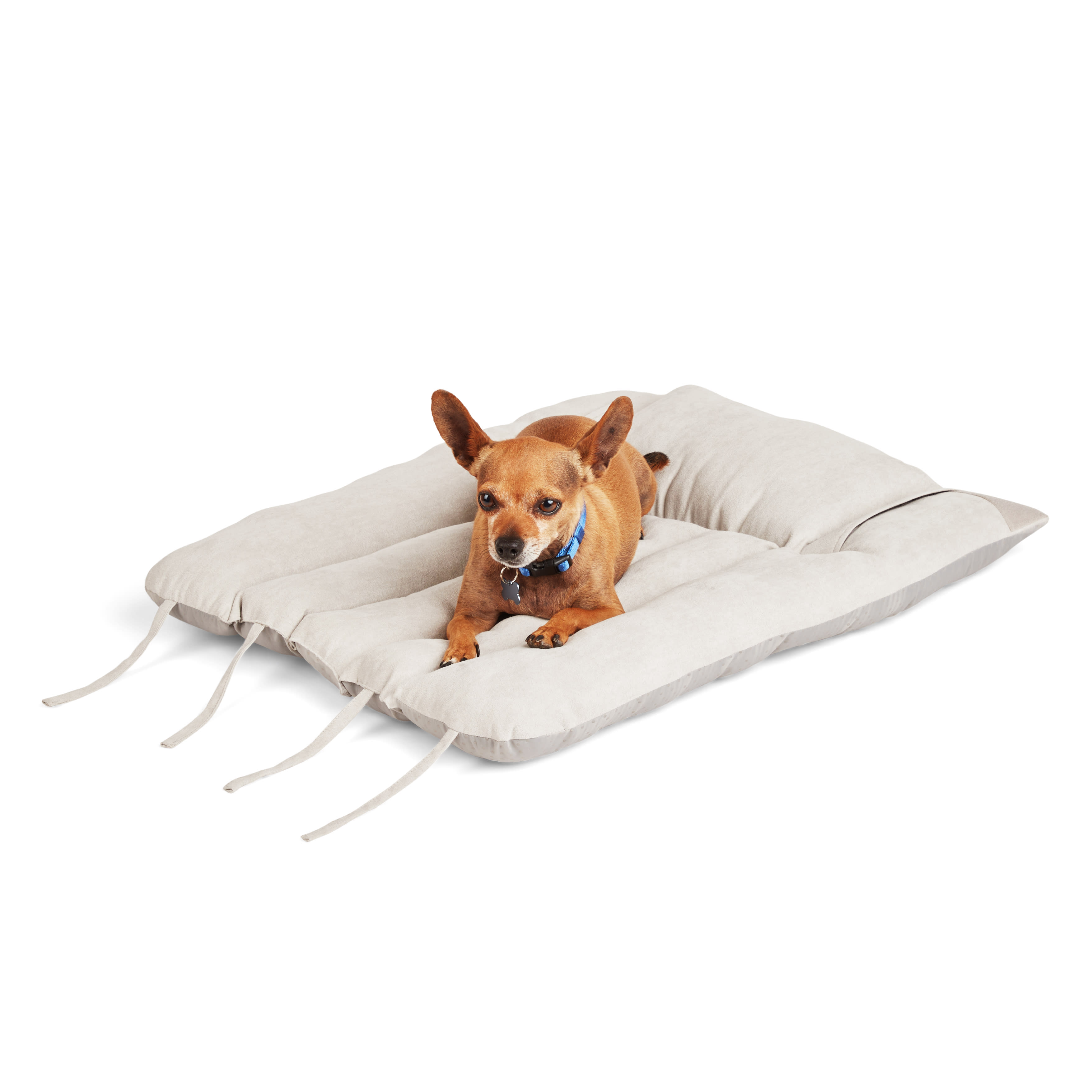 Petco pet beds sale