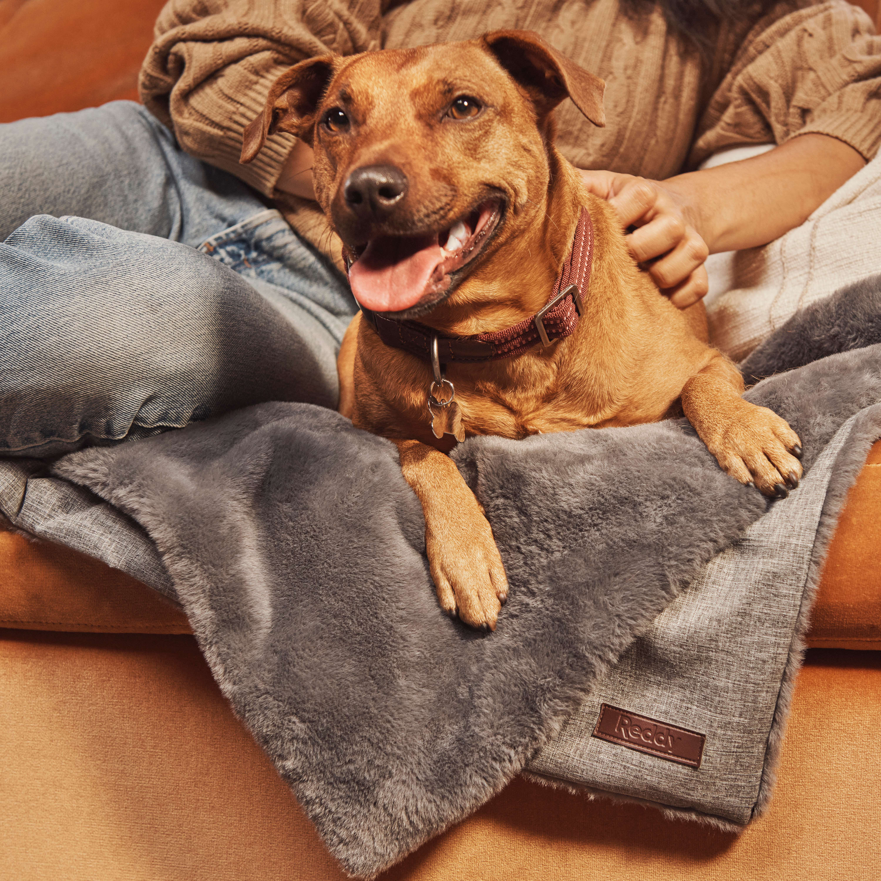 Reddy Tan Cozy & Cool Touch Corner Dog Bed, 34 L X 40 W