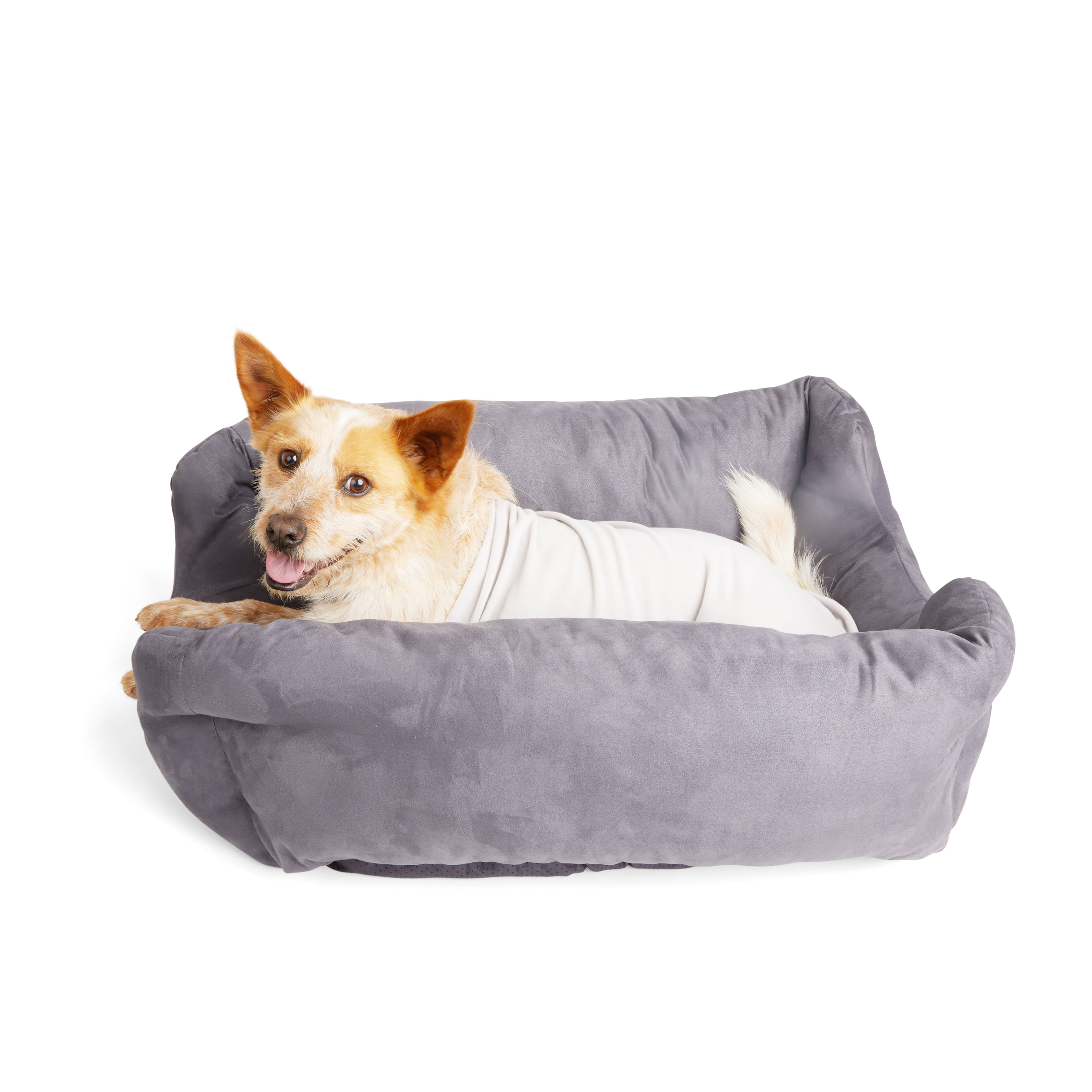 Burrow bed outlet for large dogs