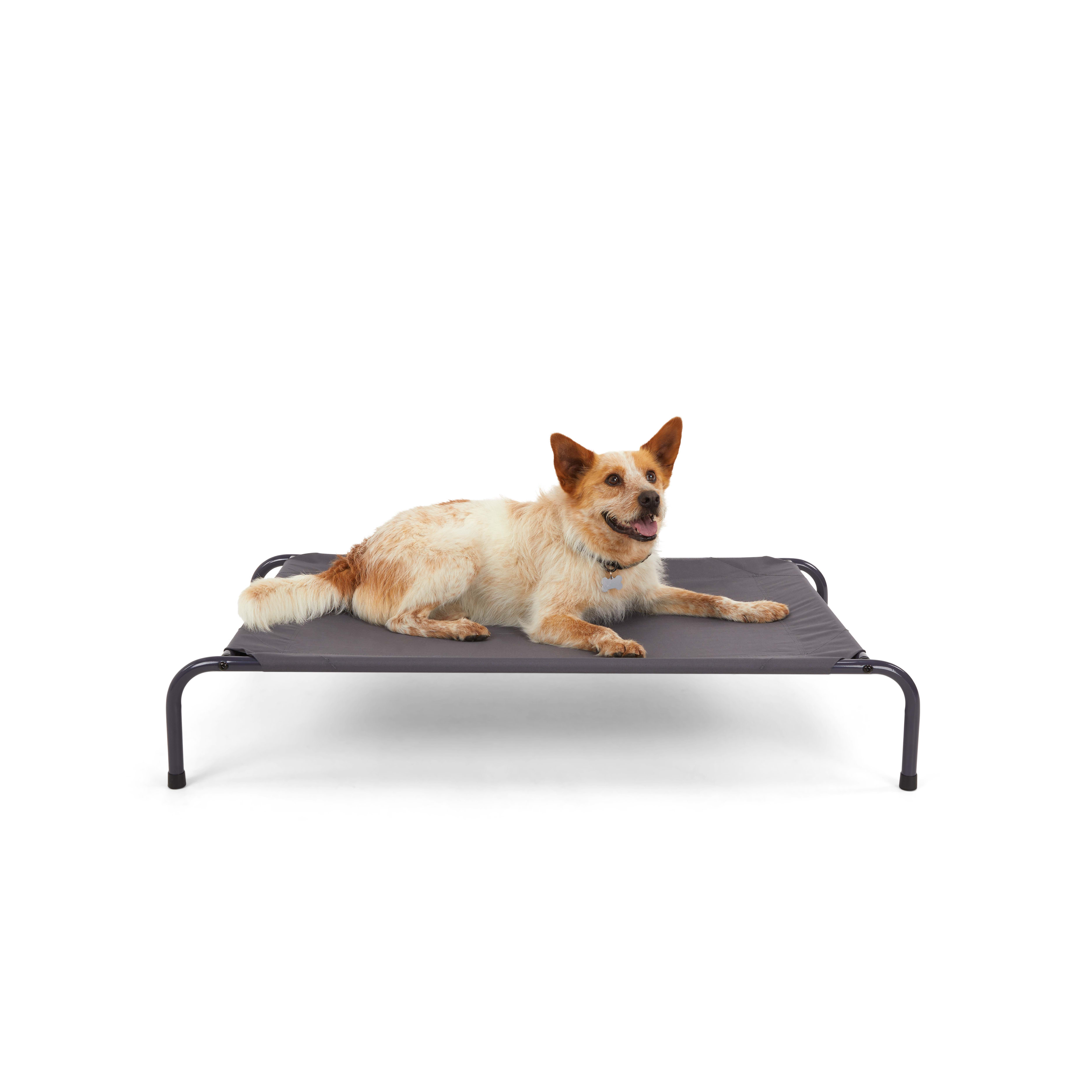 Petco elevated dog hot sale bed