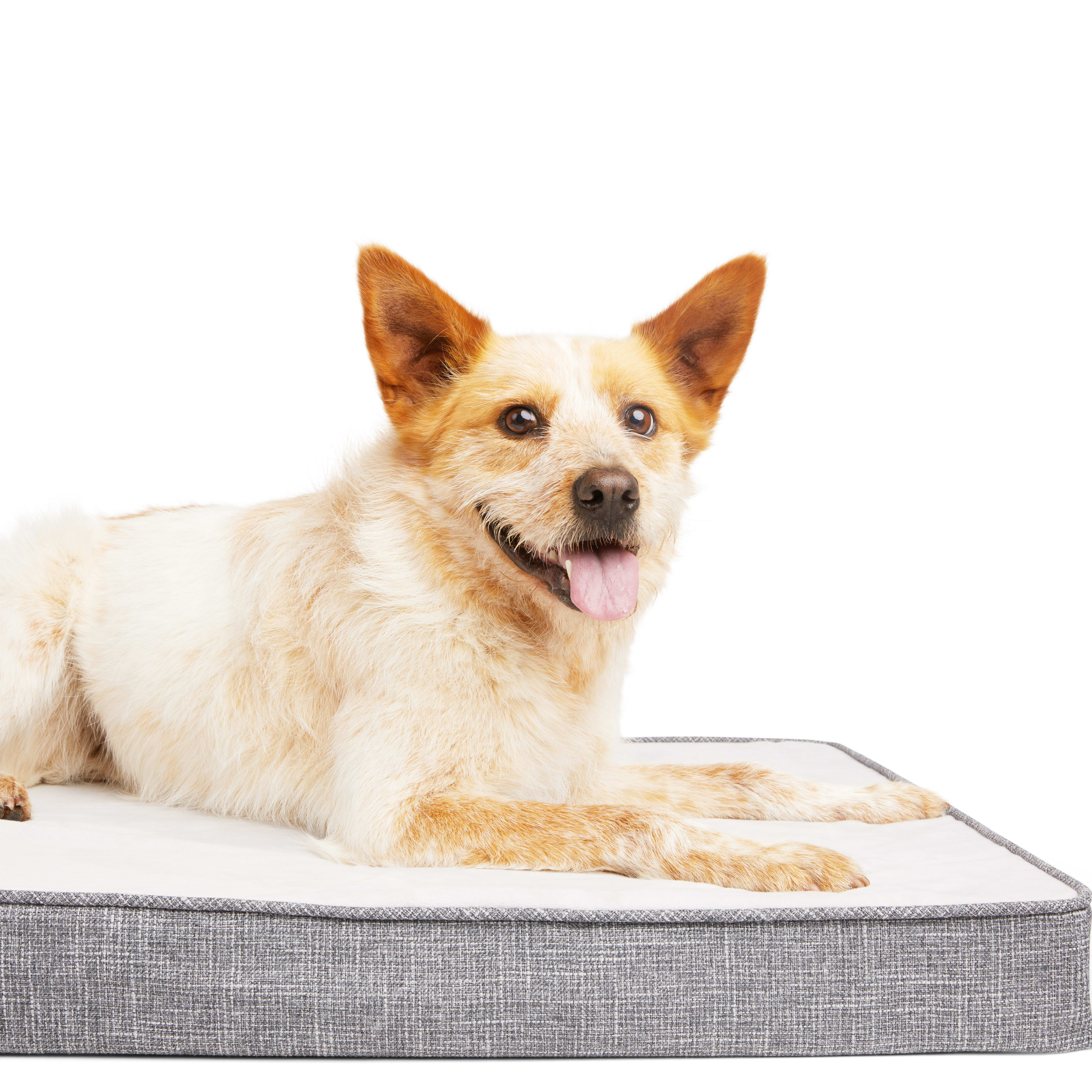 Orthopedic Wellness Mat —  Modern Dog Shop