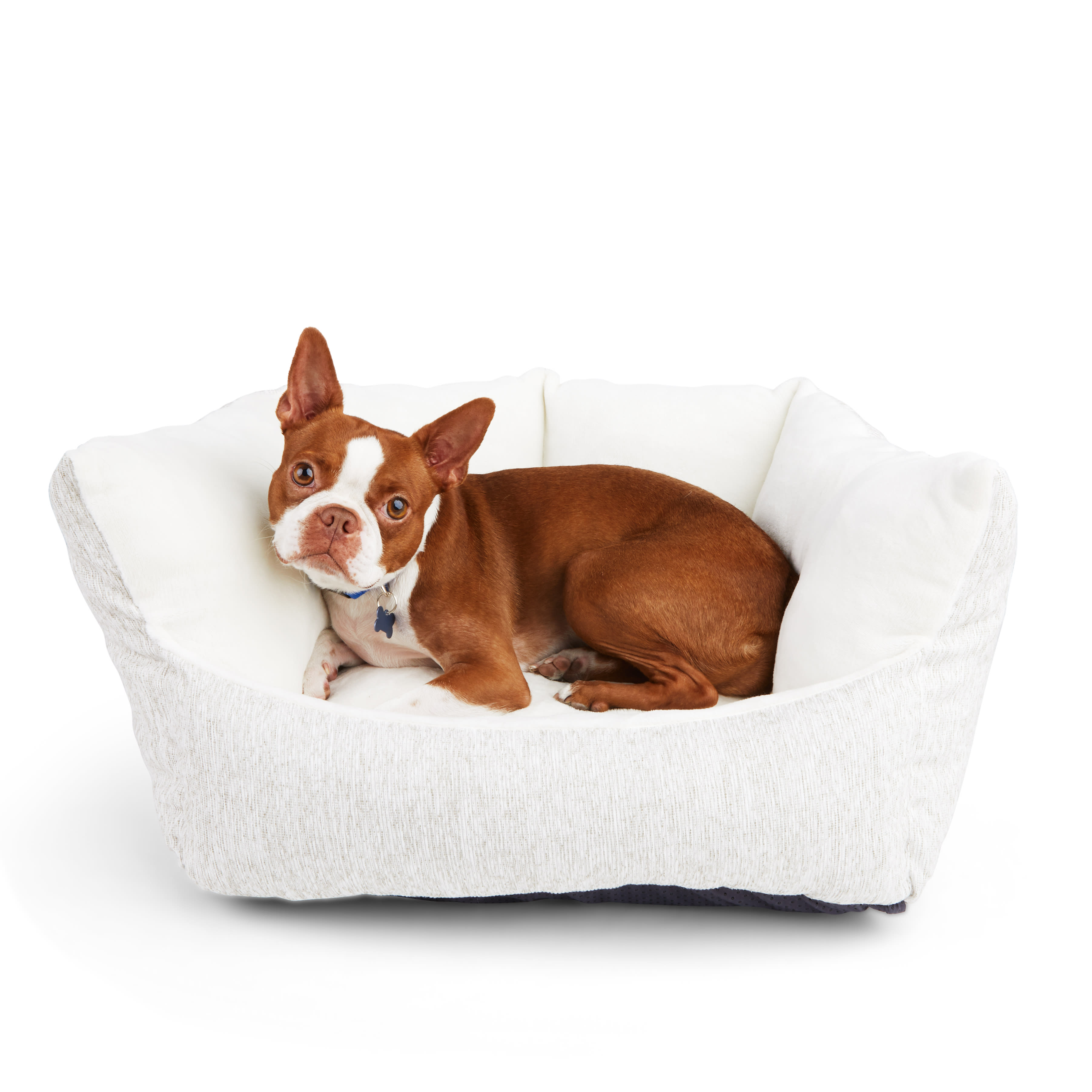 Petco dog 2025 beds orthopedic