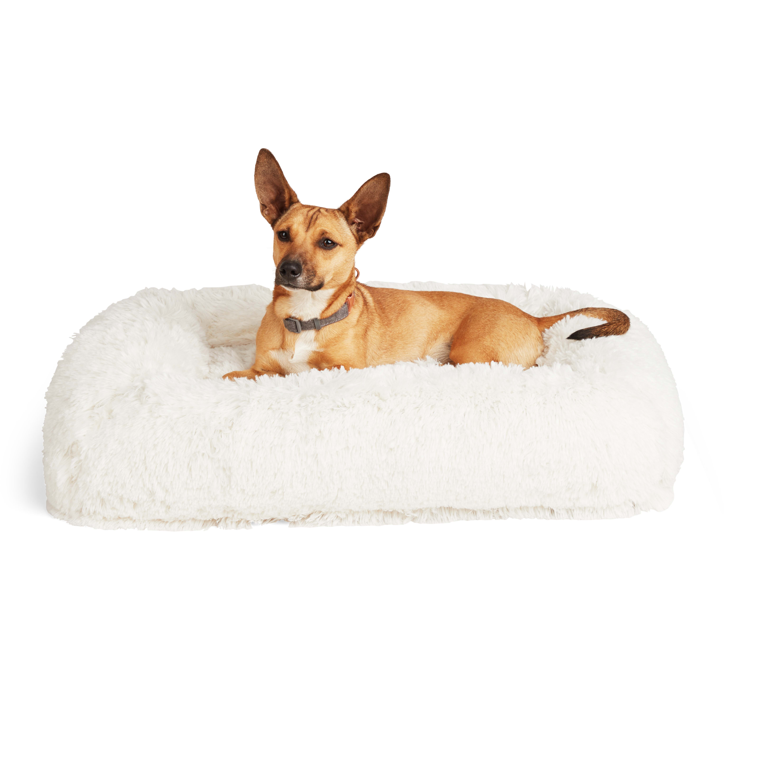 Non-negotiable Dog Room Decor Essentials - Hey, Djangles.