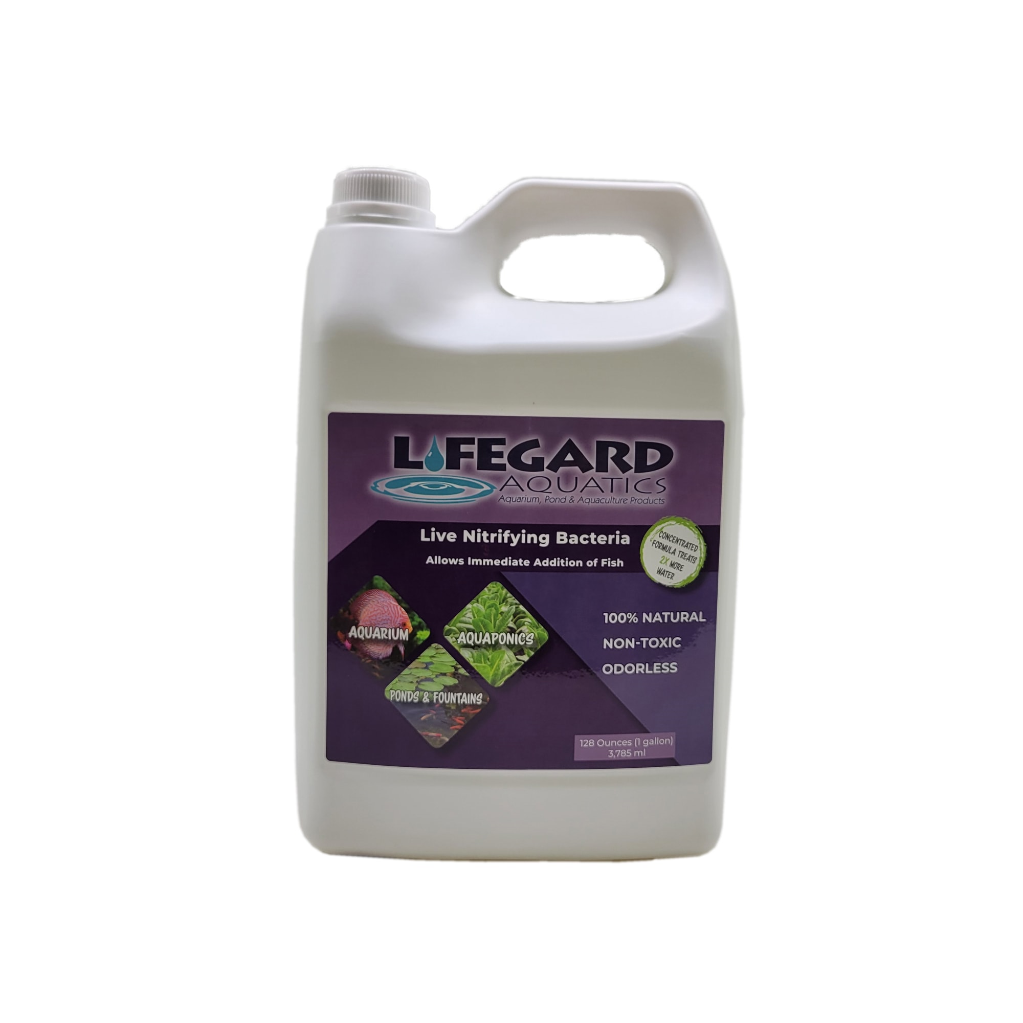 Lifegard Aquatics Nitrifying Bacteria 128 oz for Ponds & Aquariums