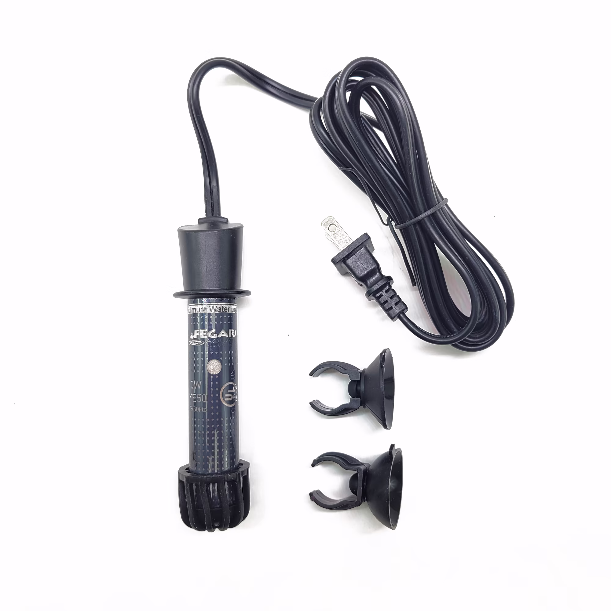 ［洋蘭原種］Bulb. ankylochele 楽天市場】Bulb.ankylocheleバルボフィラム属アンキロチェレ