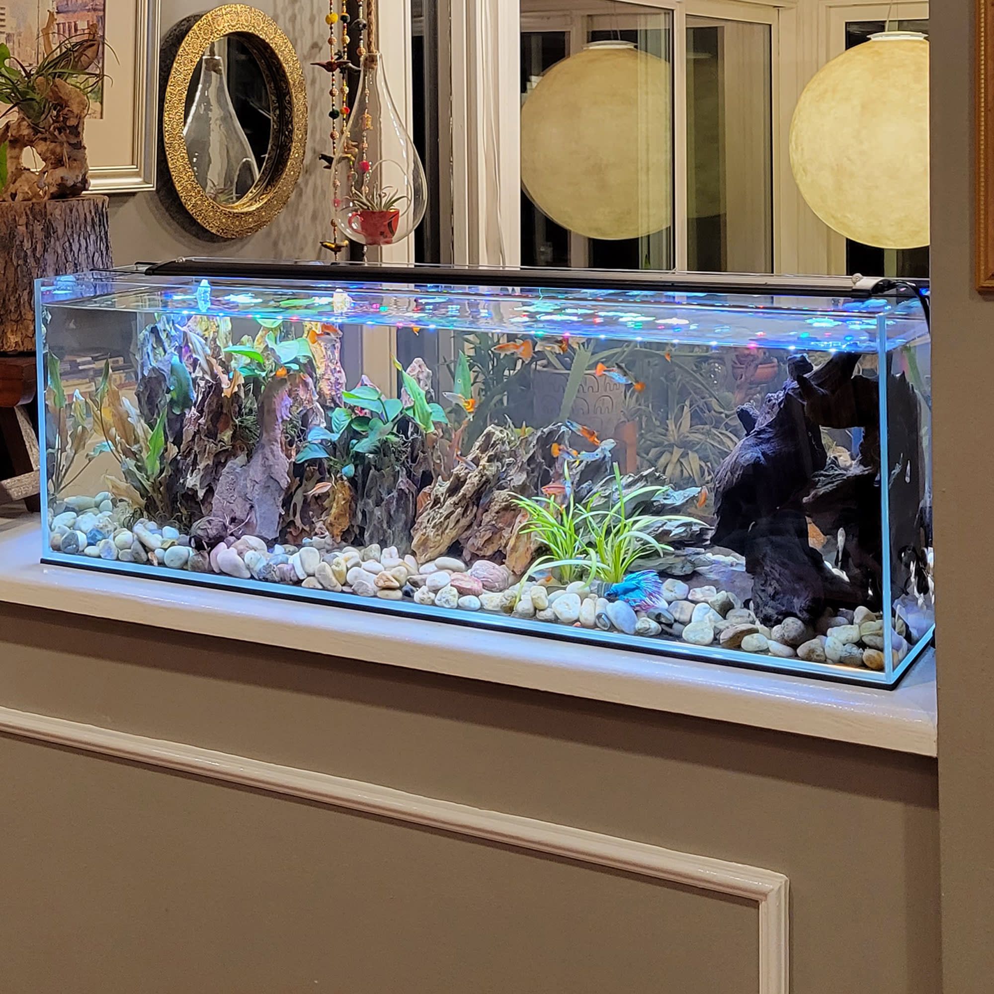 Bookshelf aquarium on sale