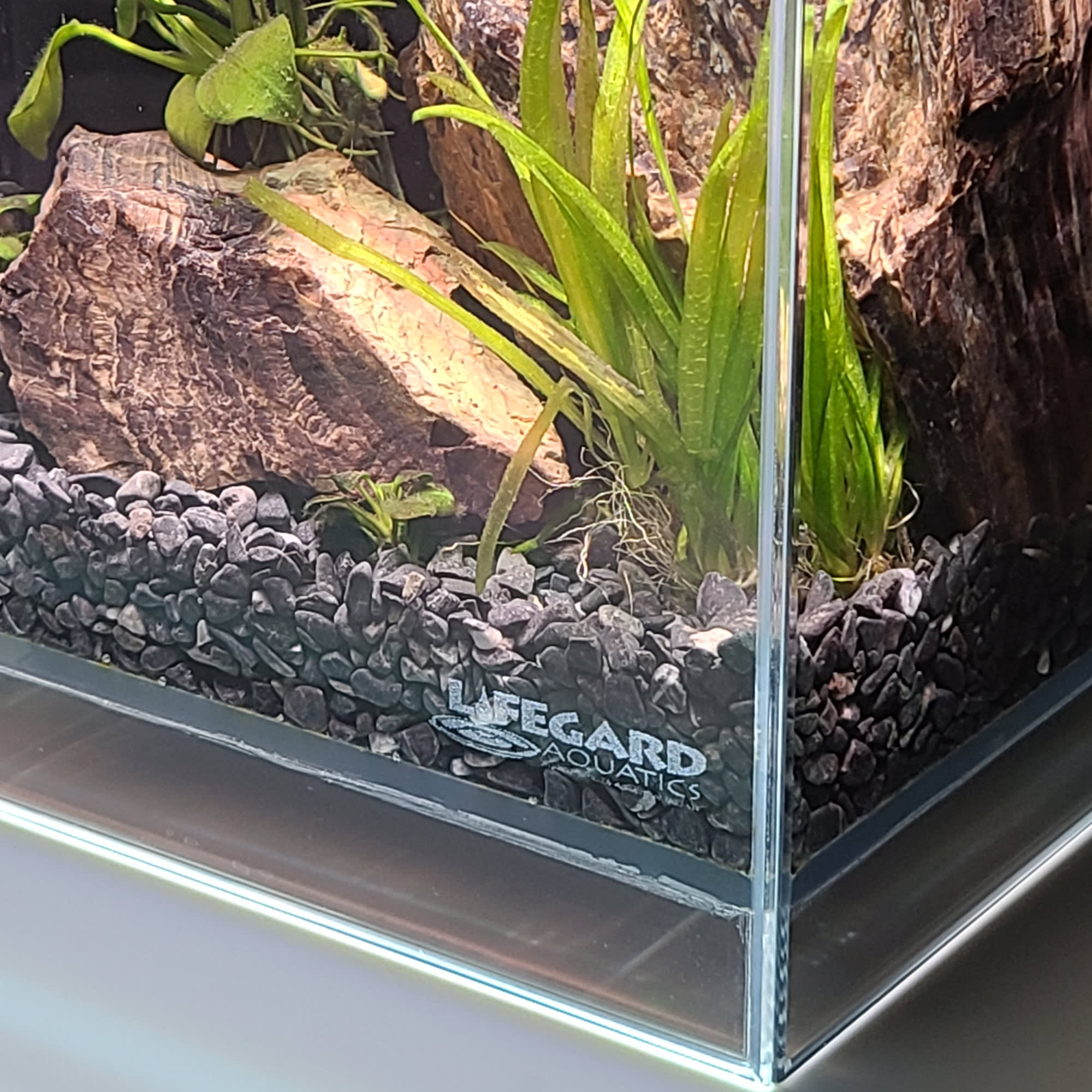 Betta Fish Tank Accessories 5 Gallon Fish Tank 3.4-Gallon Ultra-Clear ...