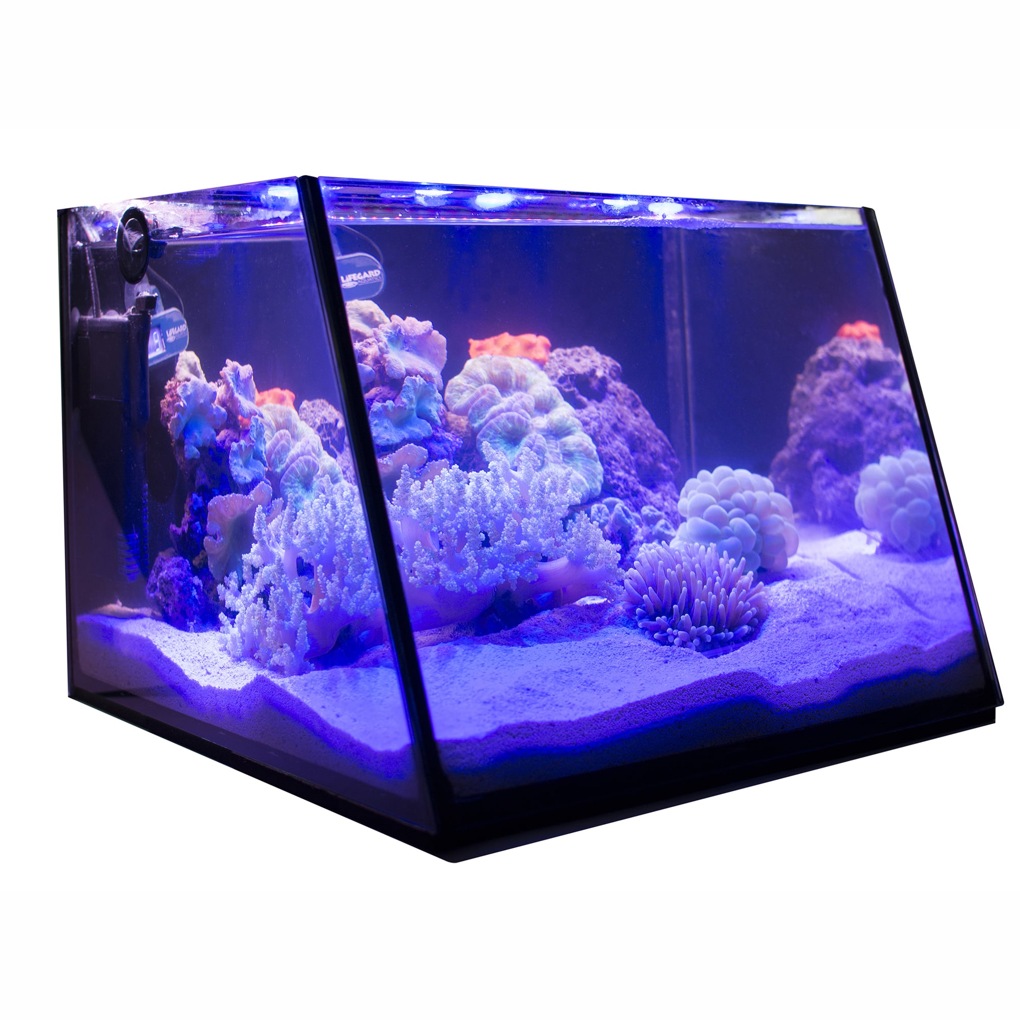 Lifegard Aquatics Full-View Angled Front Glass Aquarium, 7 Gallon, 16.1 ...