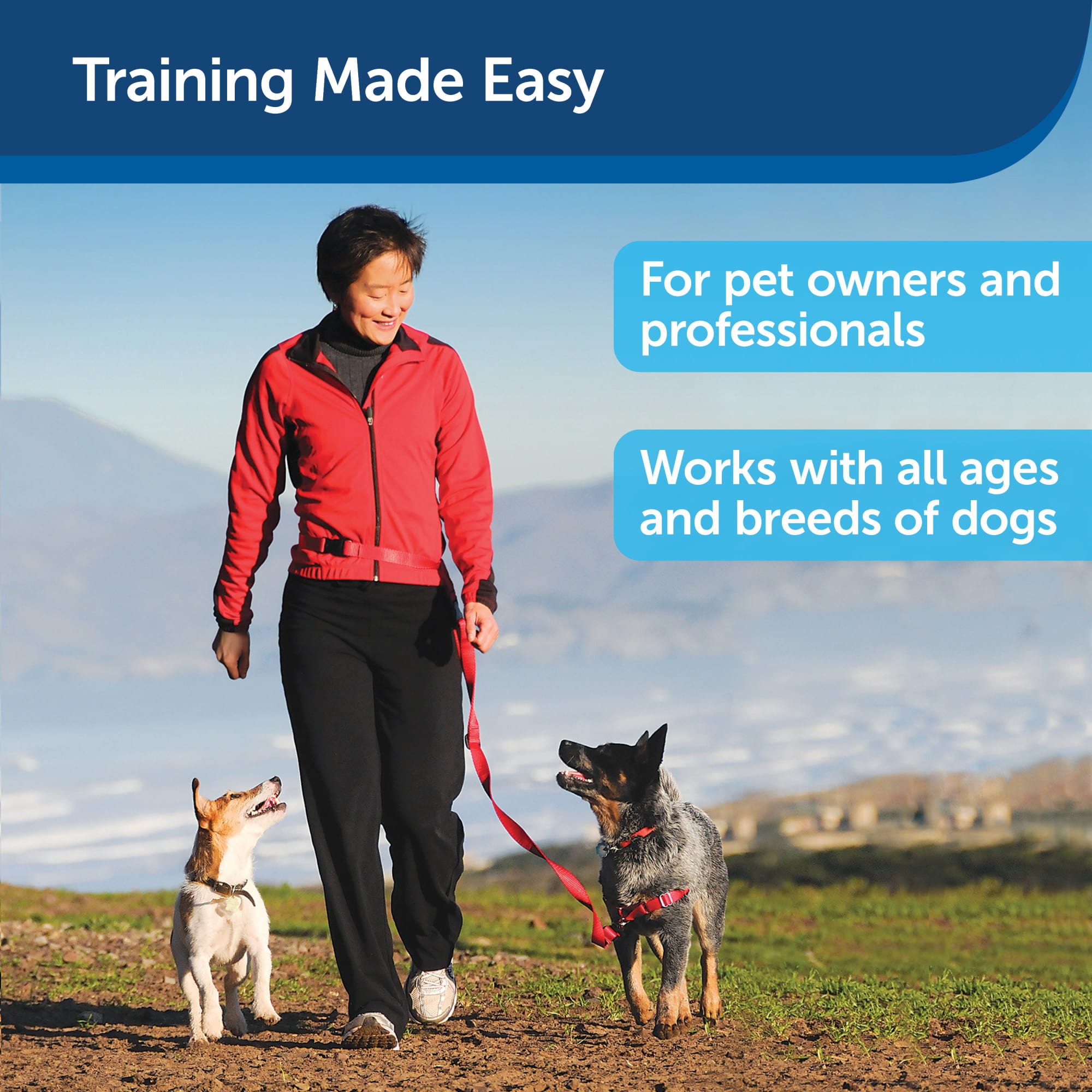 PetSafe Treat Train Manners Minder Remote Reward Dog Trainer Petco