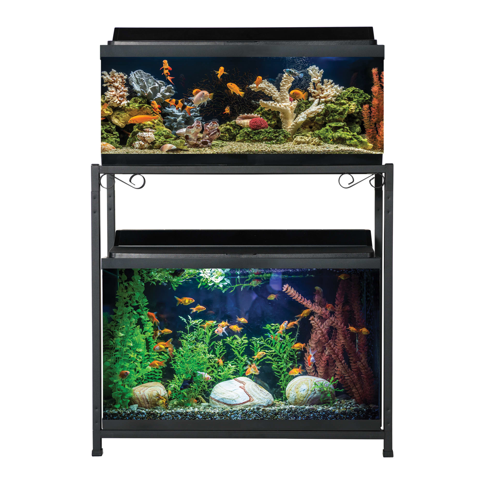 Caitec TitanEze 10 Gallon Knock-Down Aquarium Tank Stand, 22.5" L X 10.5" W  X 31" H | Petco
