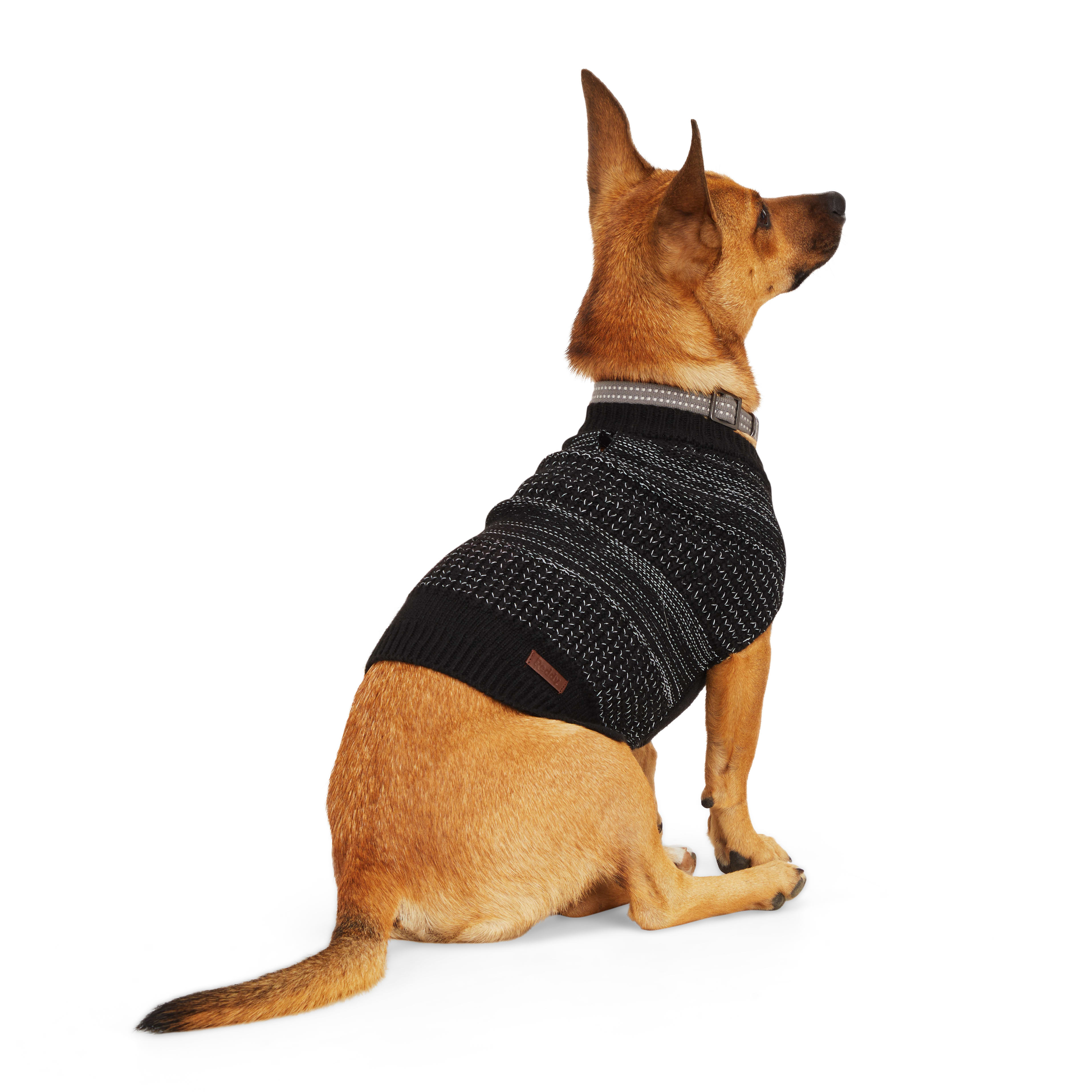 Reddy Black Reflective Dog Sweater, Small Petco