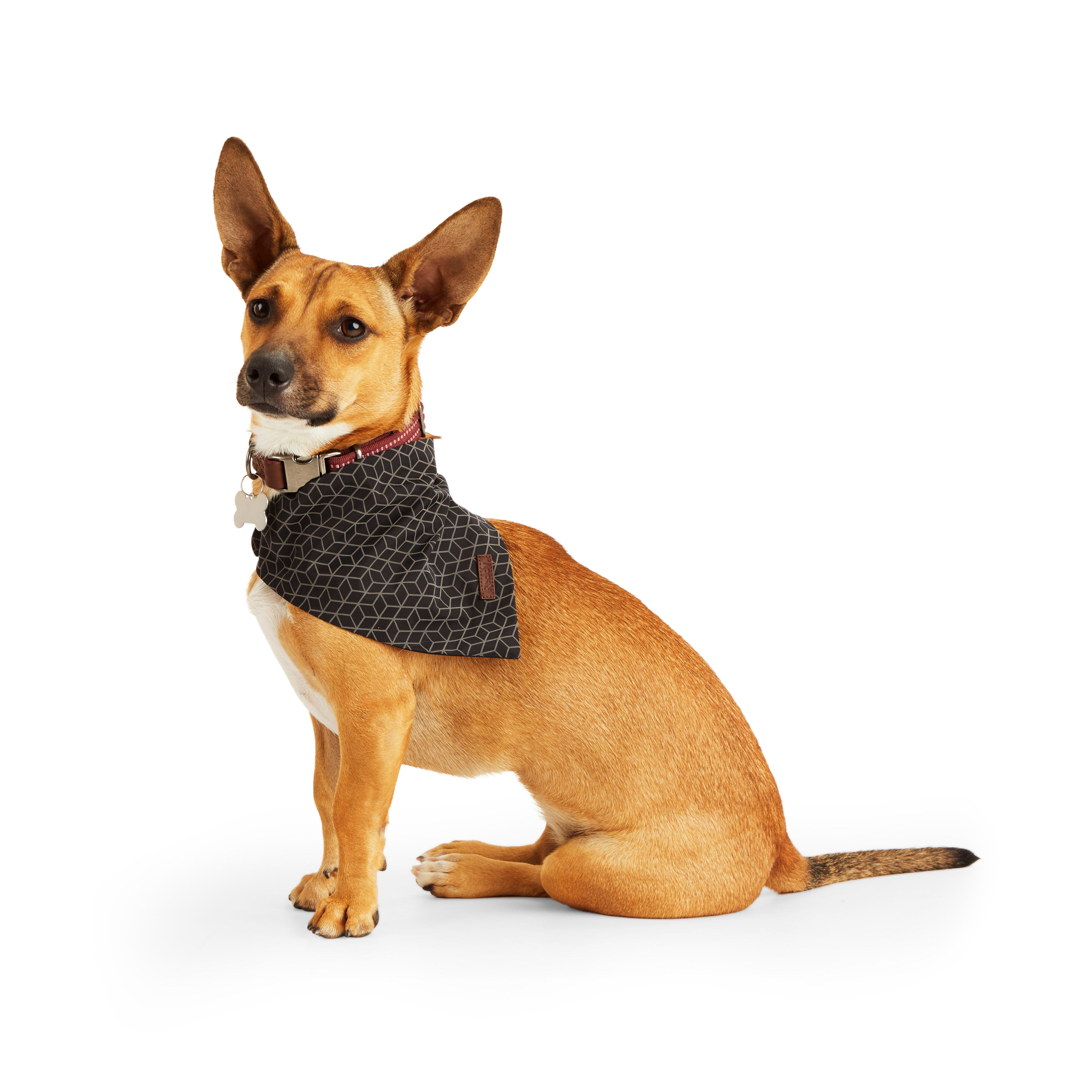 Petco deals dog scarf