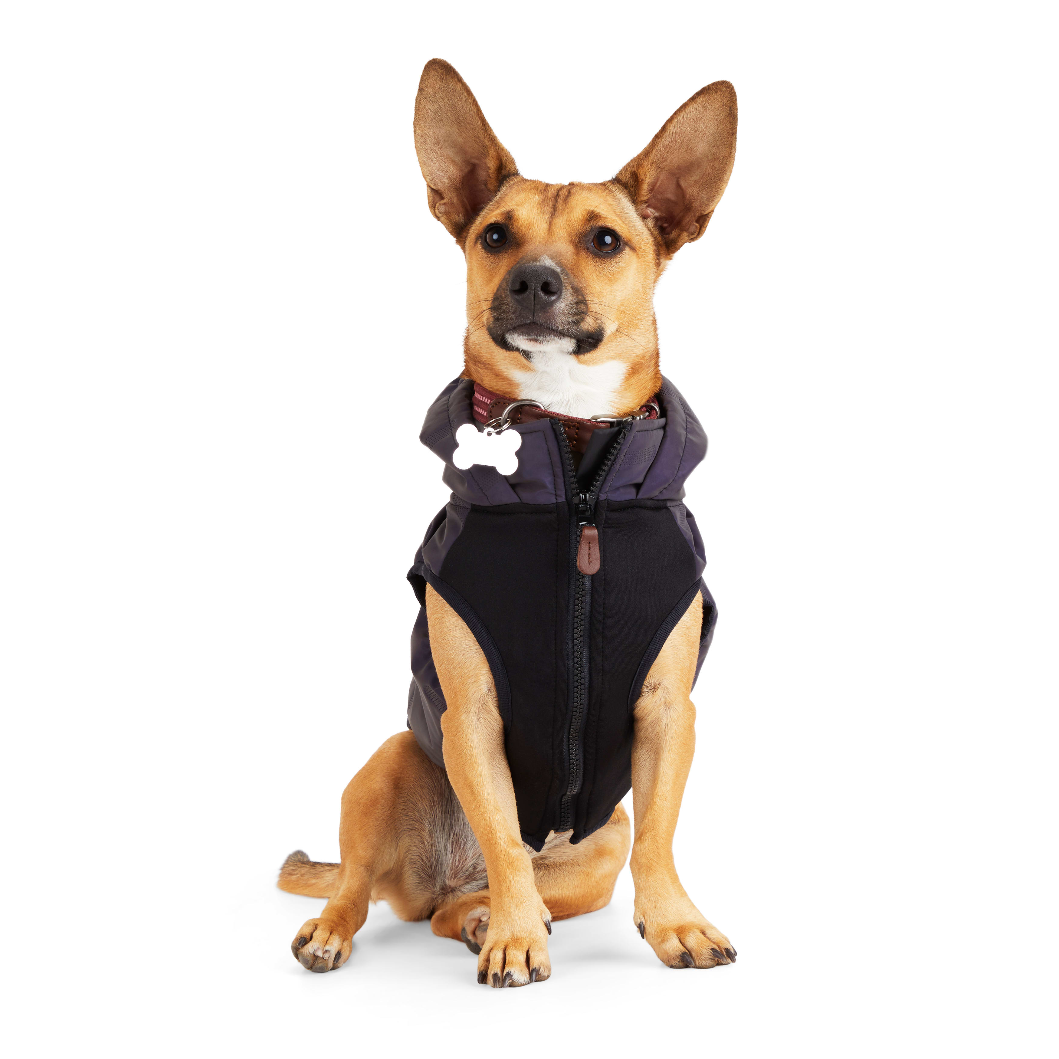 Reddy store dog coat