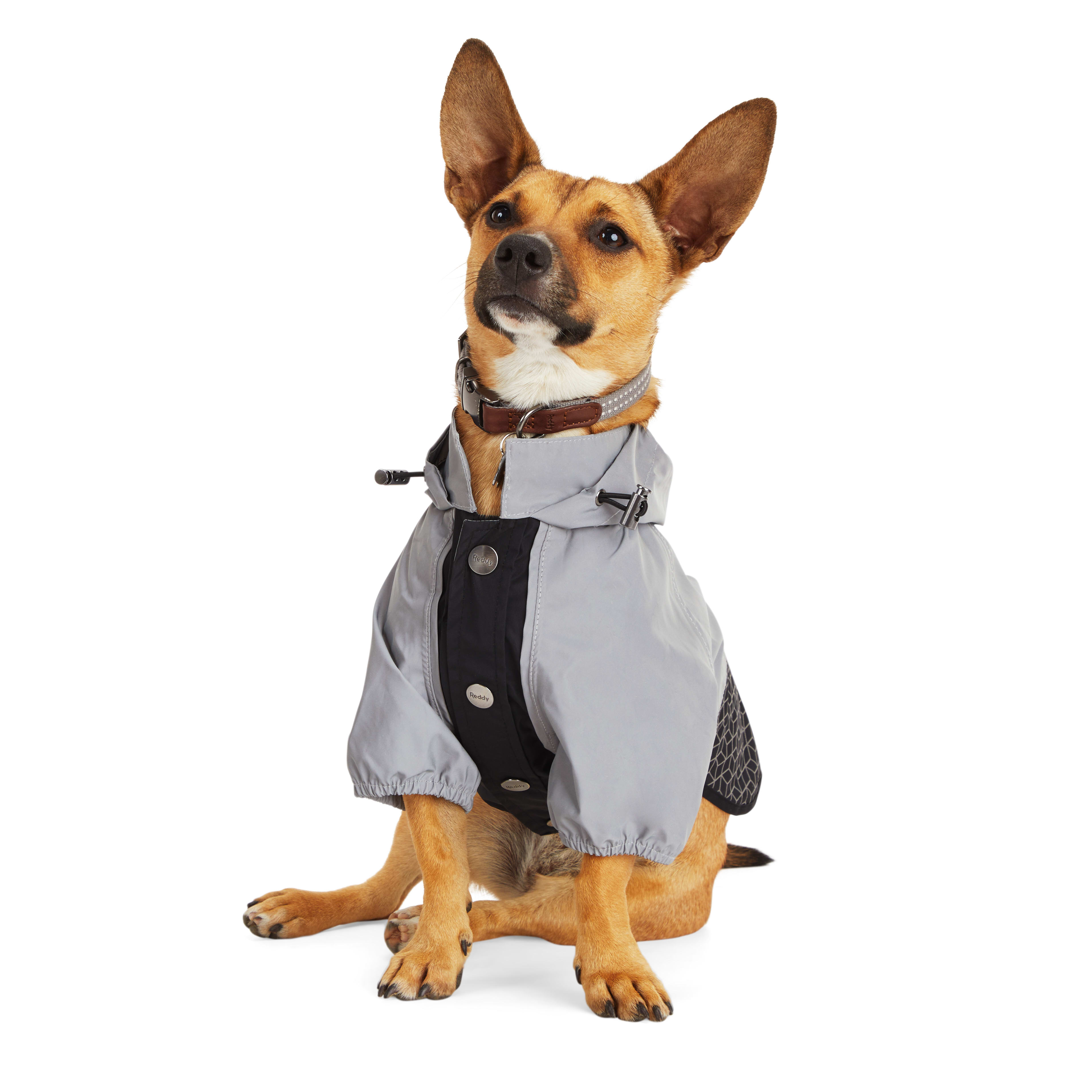 Reddy dog sales raincoat