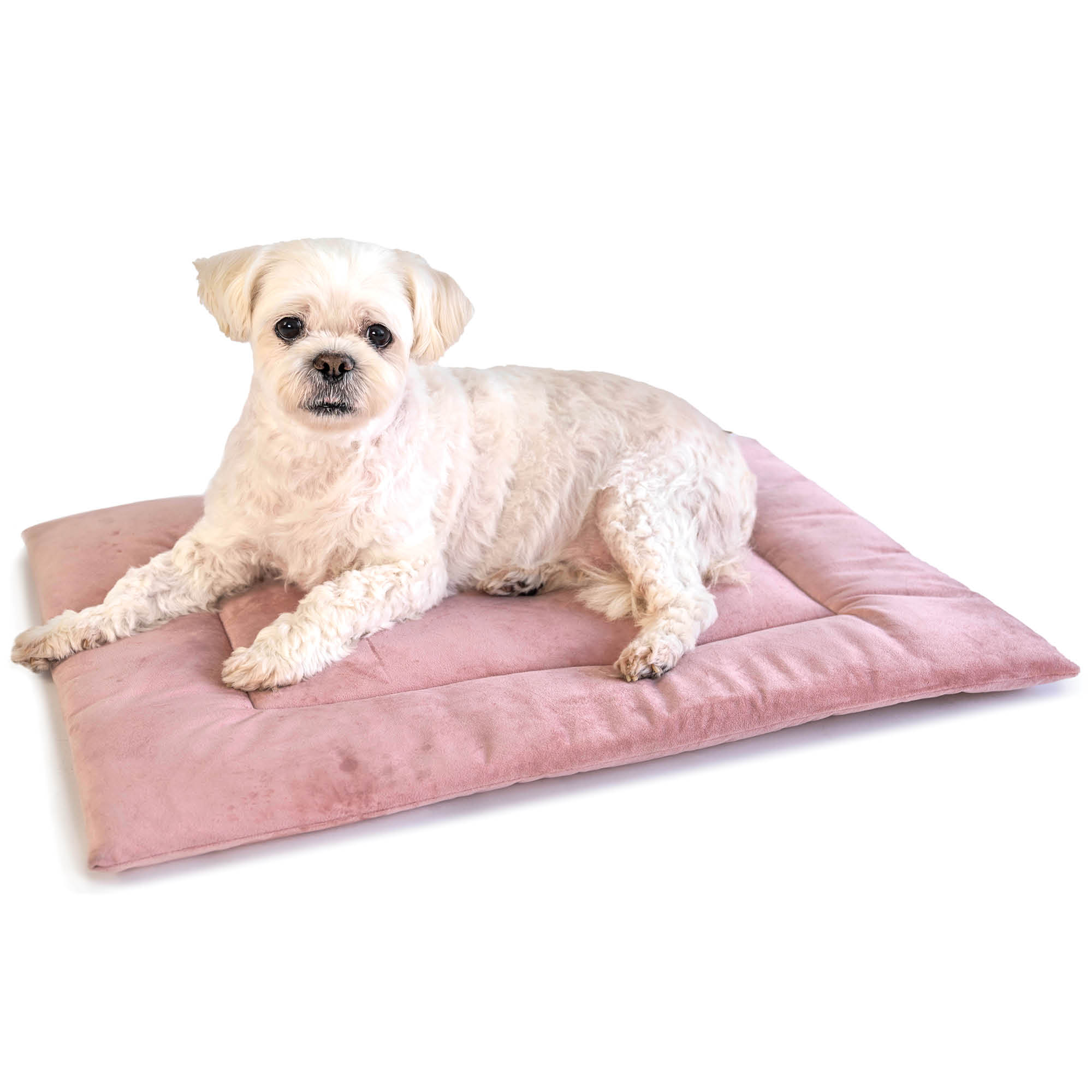 Petco dog crate pads hotsell