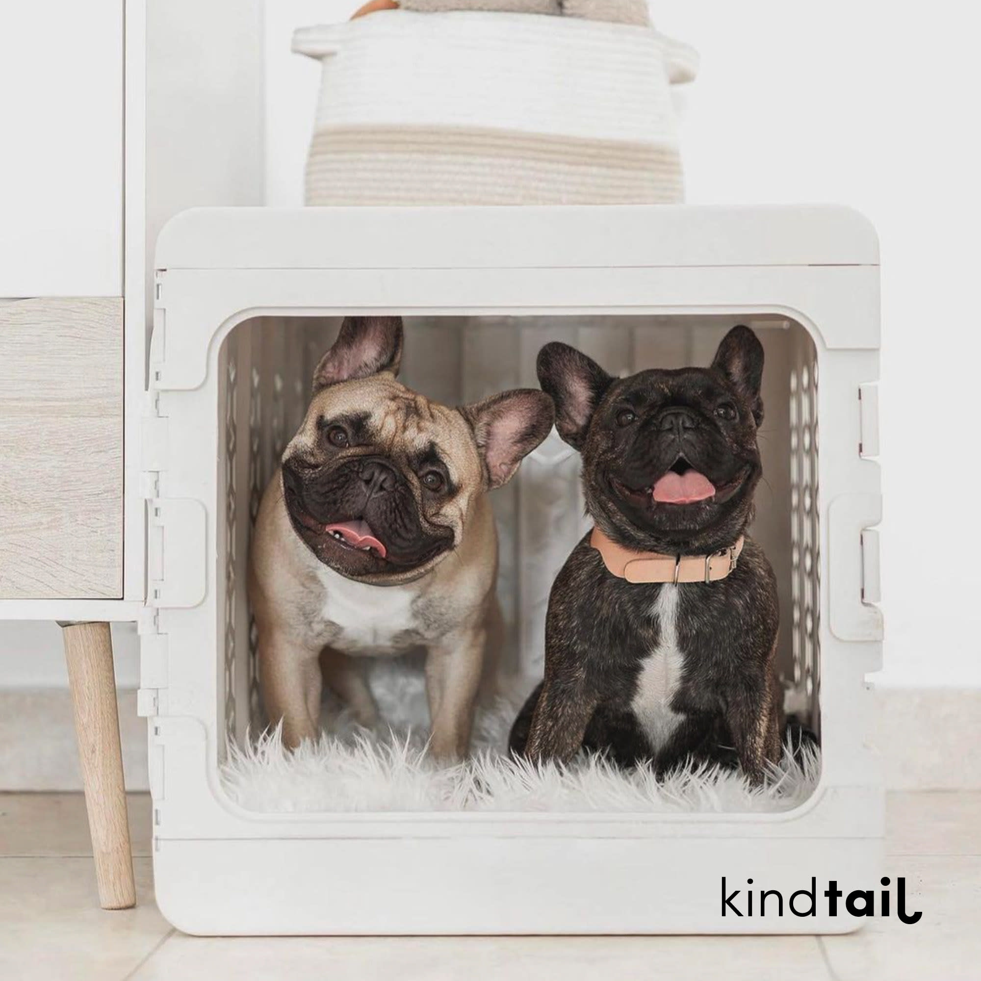 KINDTAIL'S PAWD®, Modern Collapsible Plastic Dog & Pet Crate
