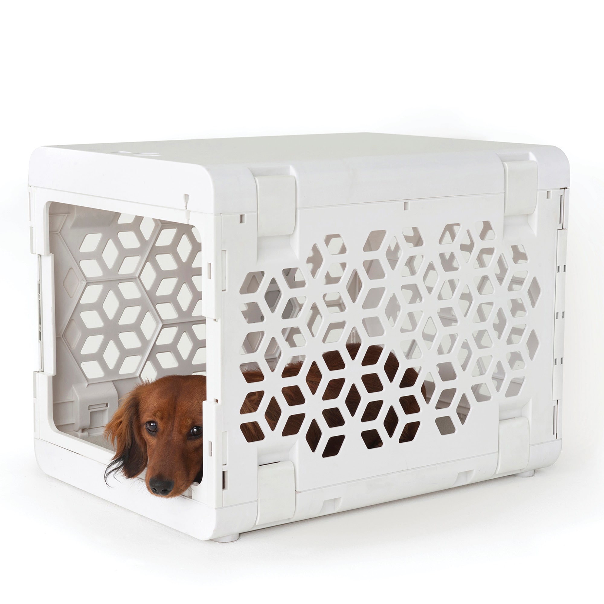 Foster and smith dog crates best sale