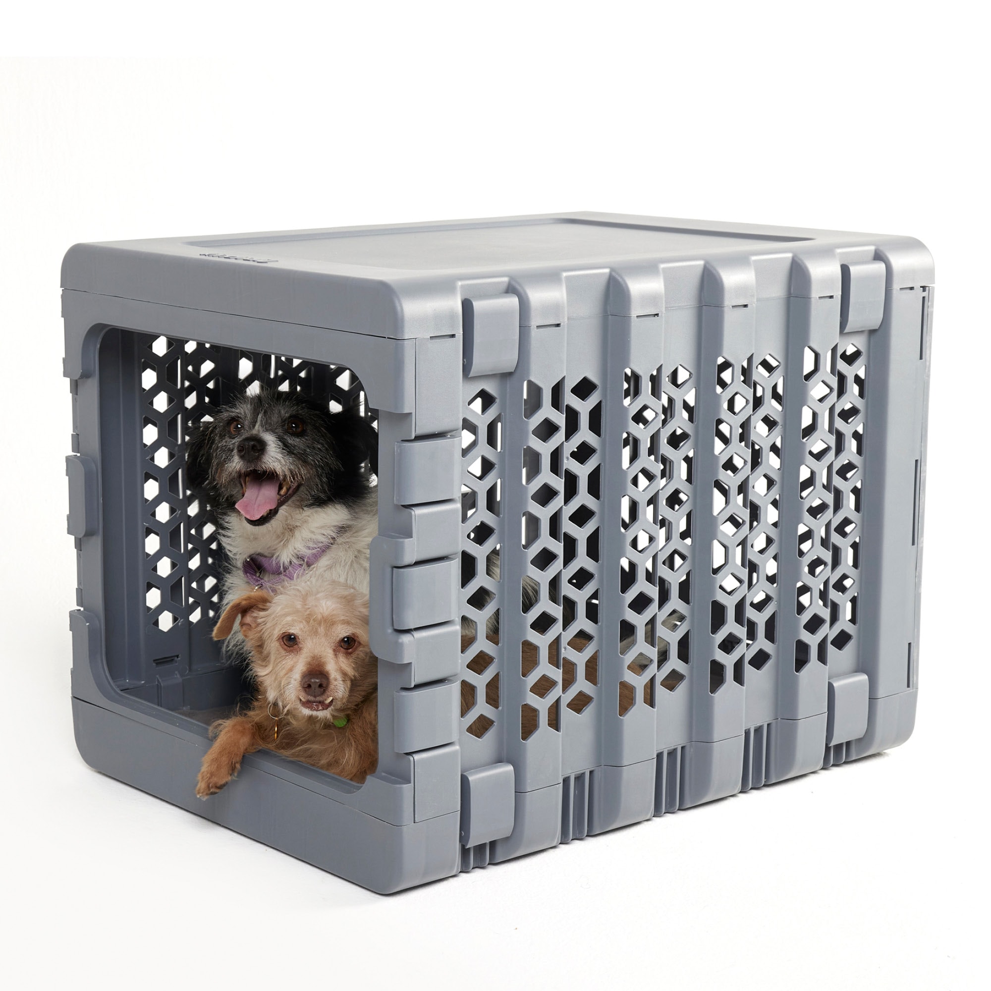 Collapsible plastic dog crate hotsell