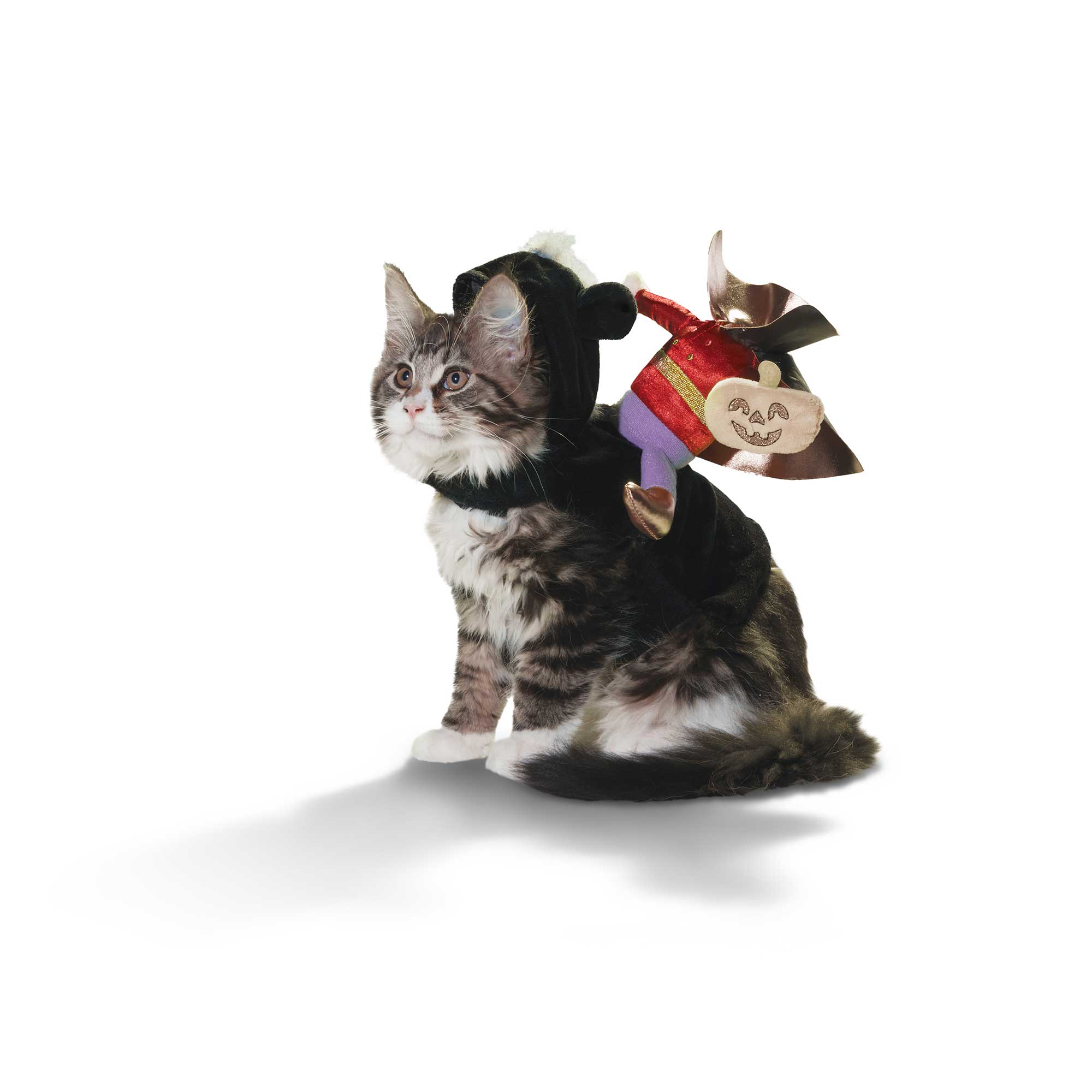 Bootique Headless Horseman Illusion Costume for Cats, Small/Medium, Multi-Color