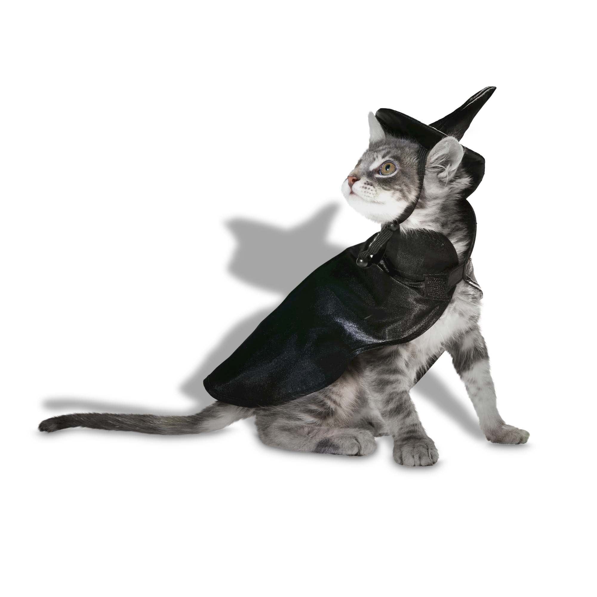 10 Purrfectly Stylish and Practical Shirts for Cats to Add to Your Cart  Right Now