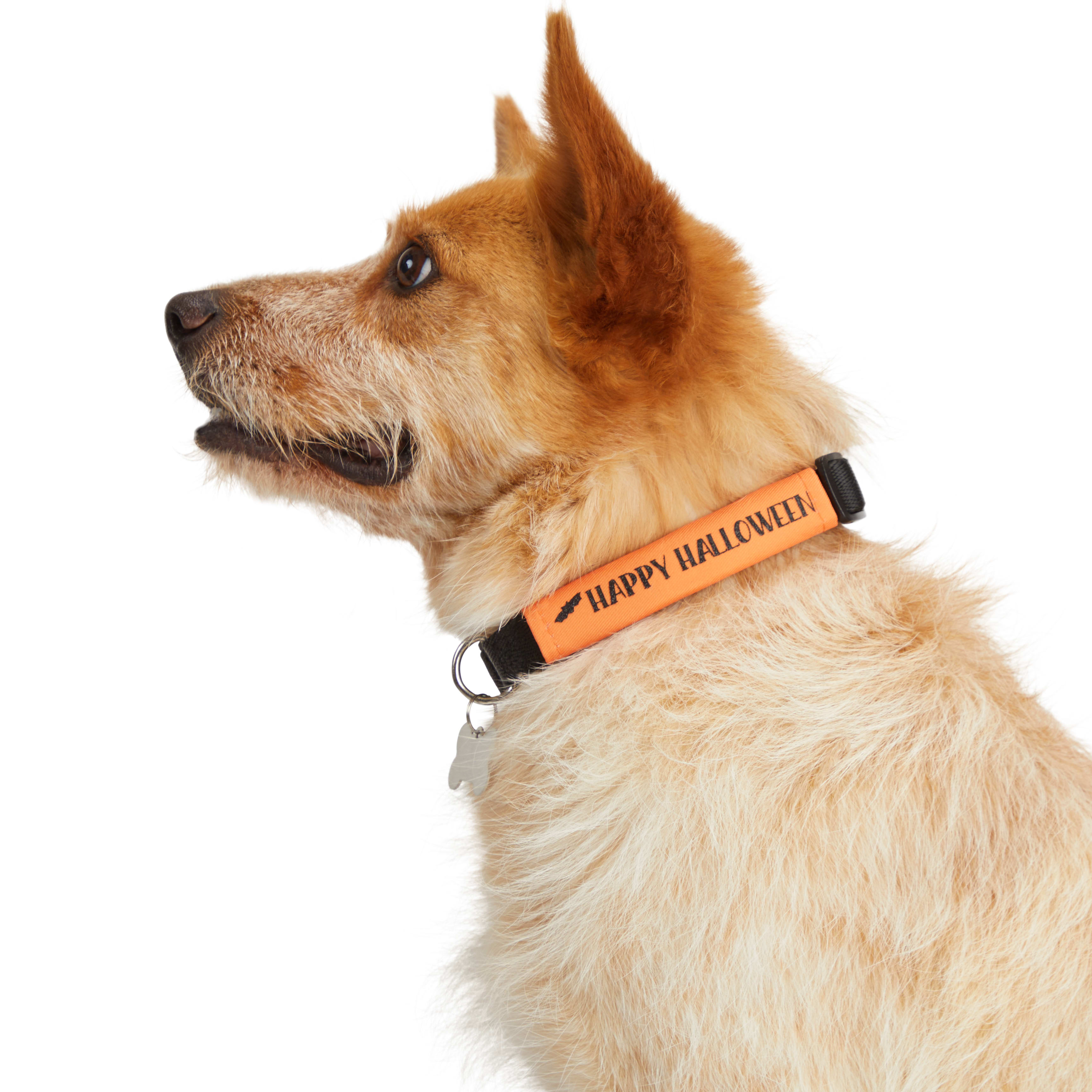 Bootique Dog Collar Wraps, Medium