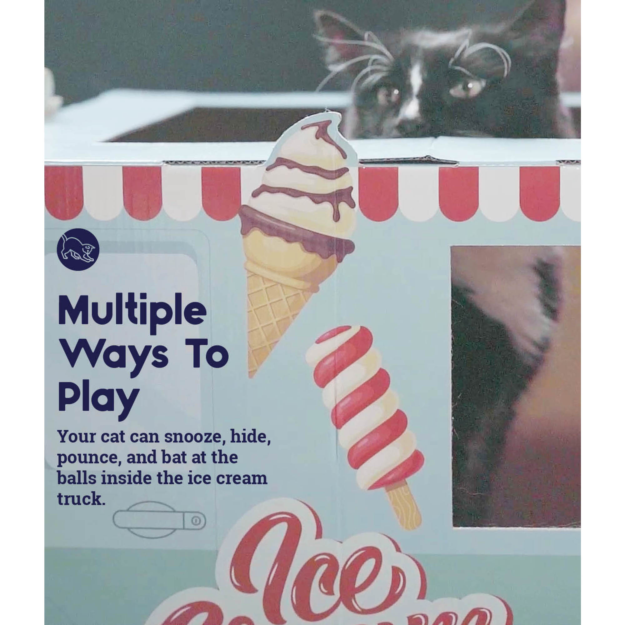 Cat ice 2025 cream petco