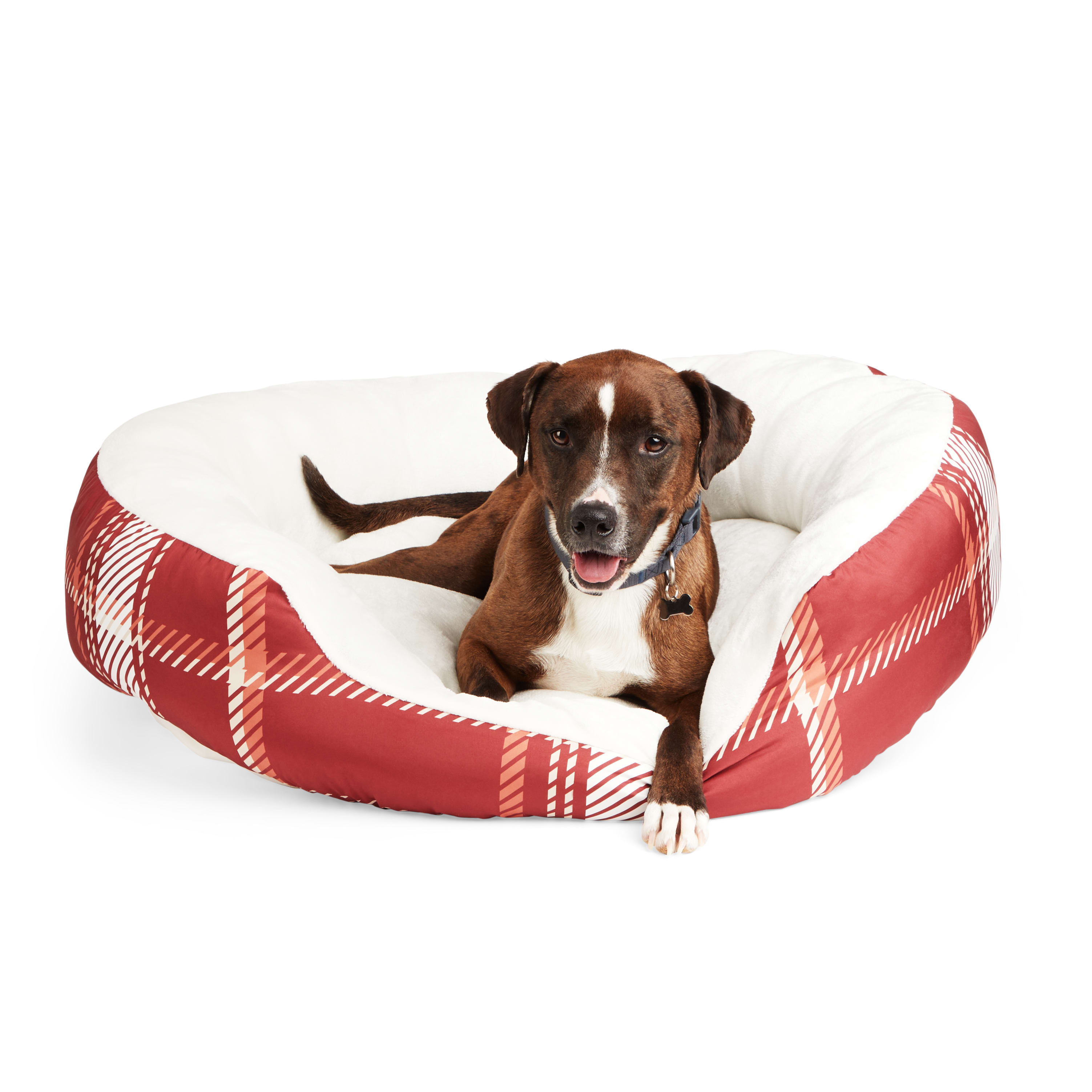 Non-negotiable Dog Room Decor Essentials - Hey, Djangles.