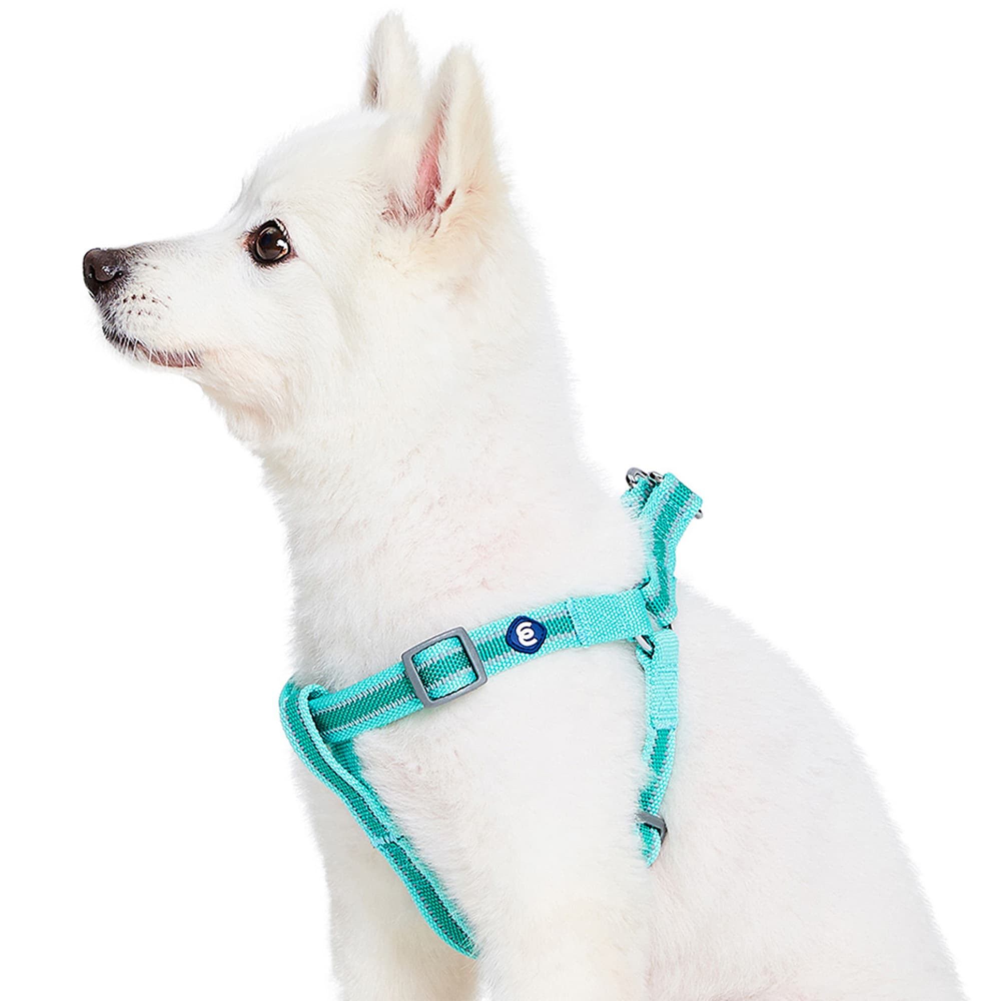 Blueberry Pet Essentials Minty Green Reflective Back to Basics Adjustable Dog Harness, Medium