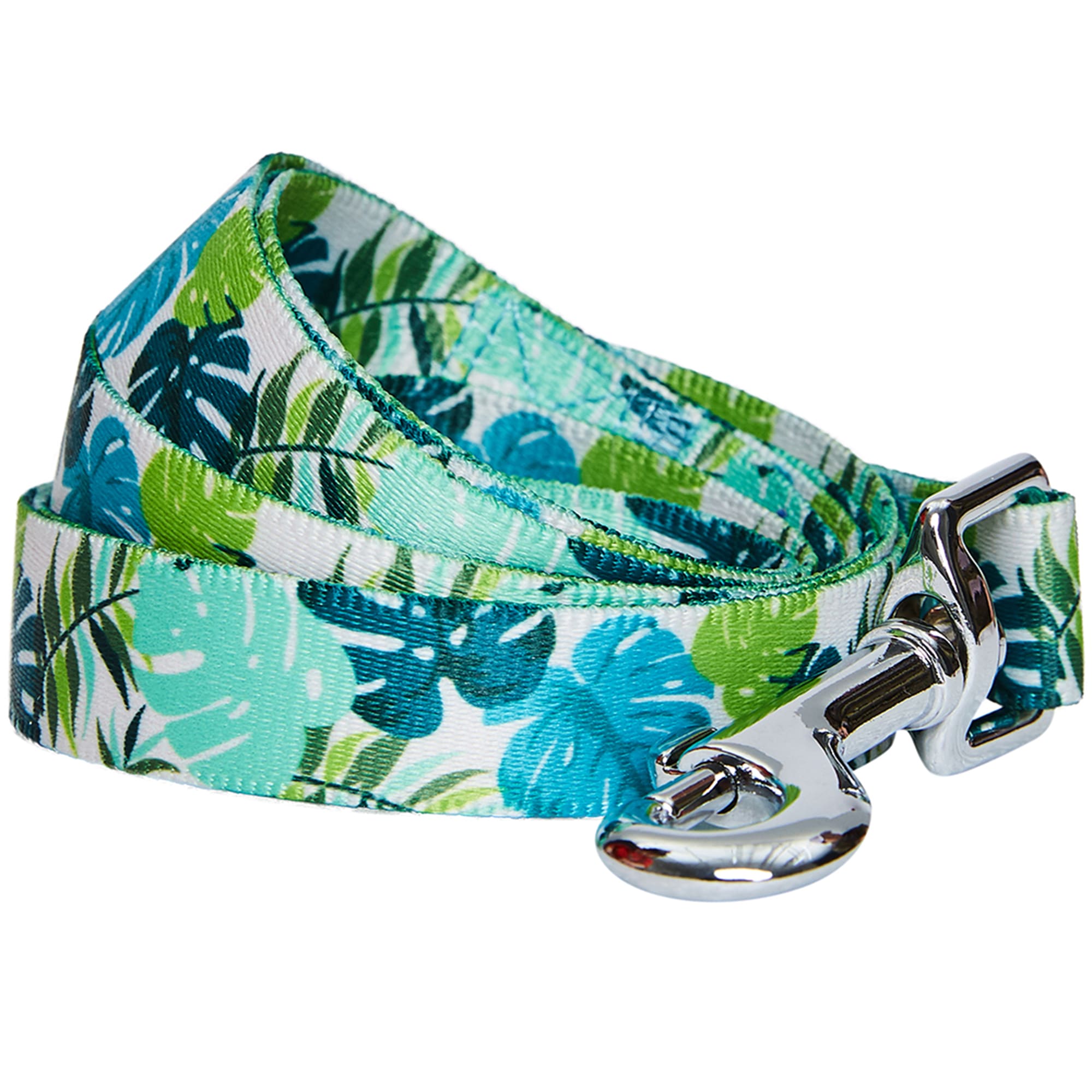 Blueberry Pet Essentials Bahamas Vacation Dog Leash, Medium Petco