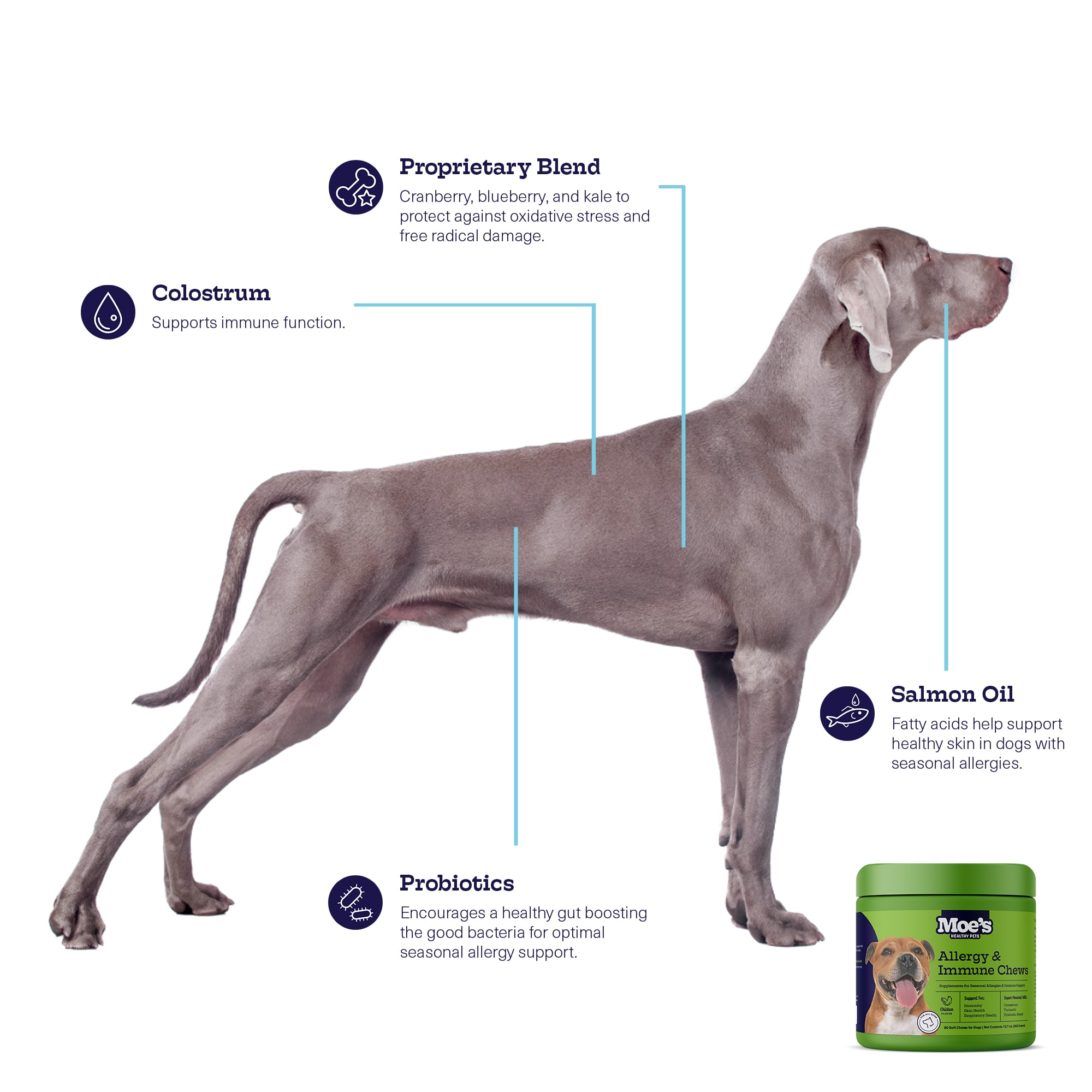 Allergic Reaction Dog Food For Yeast Allergies Food Allergies In