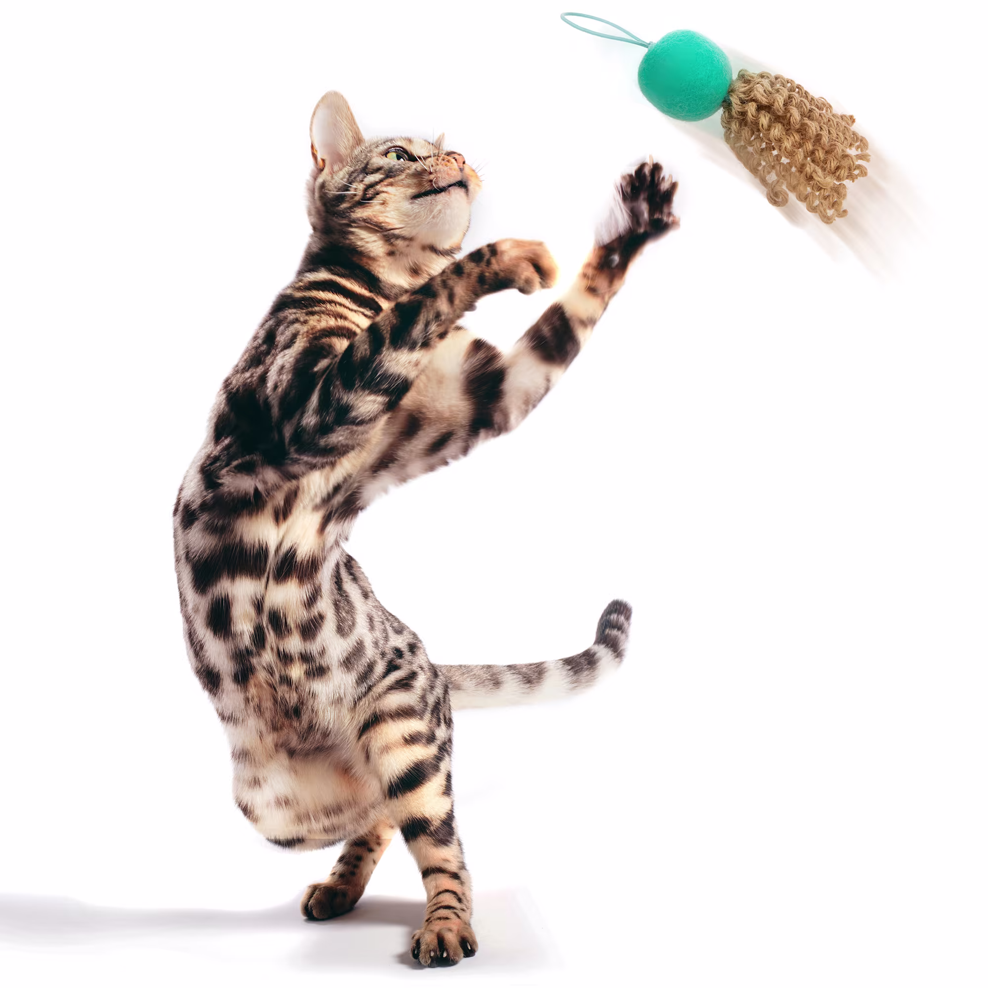 Petlinks Crazy Flyer Launcher Cat Toy, Small | Petco
