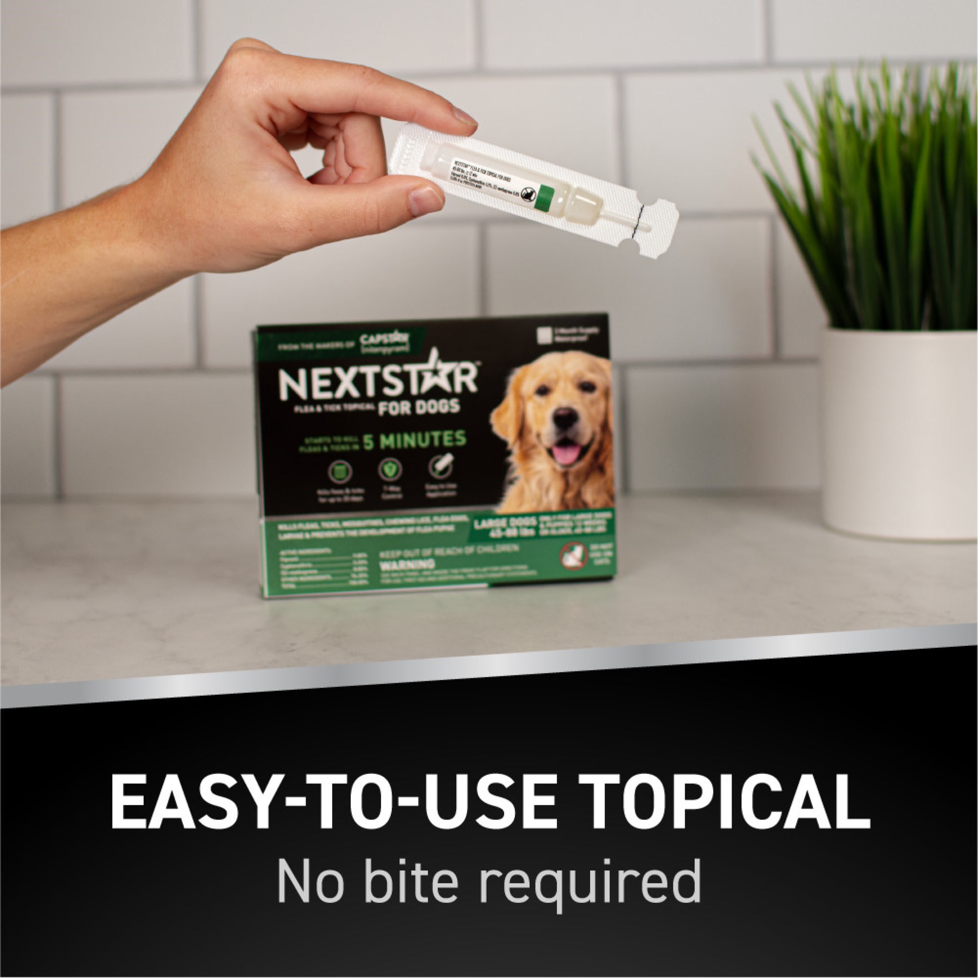 Best flea and shop tick control for puppies