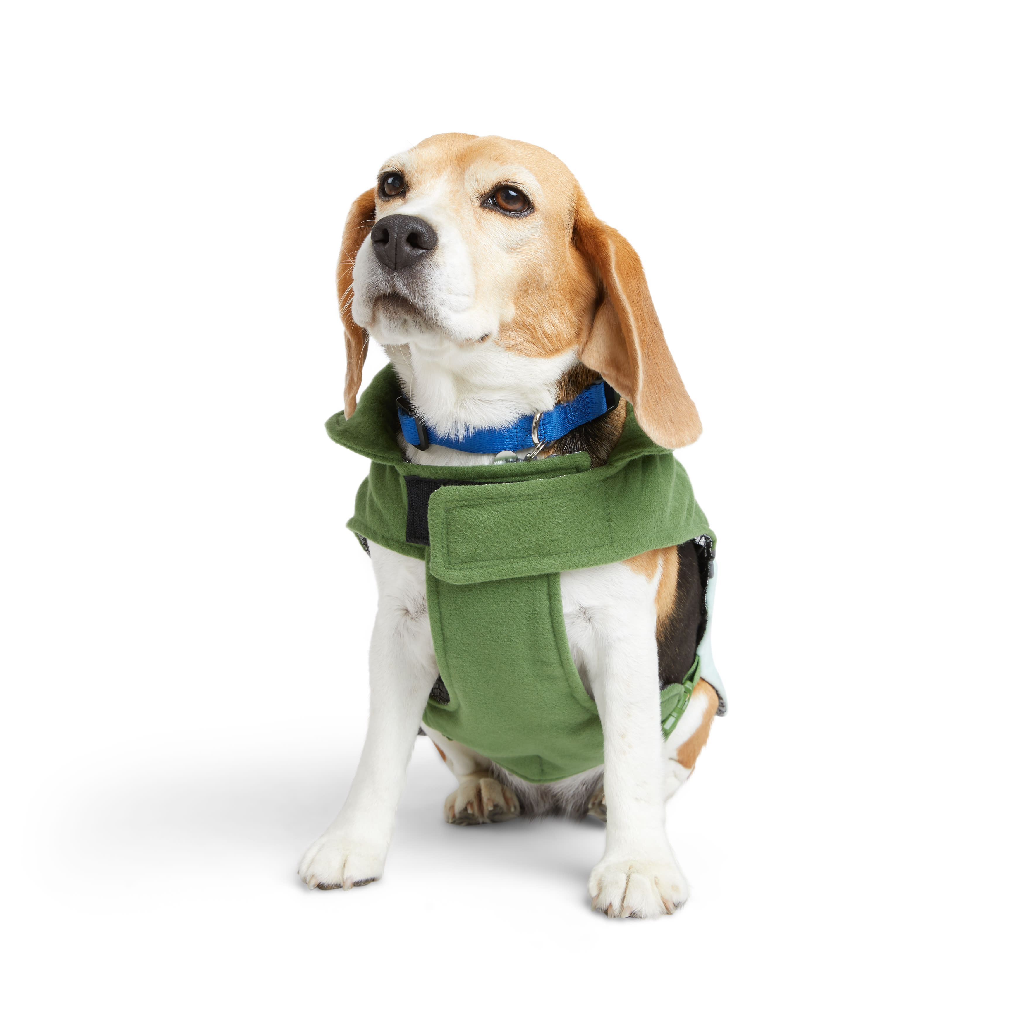 YOULY Green Colorblock Flannel Dog Vest, XXSmall Petco