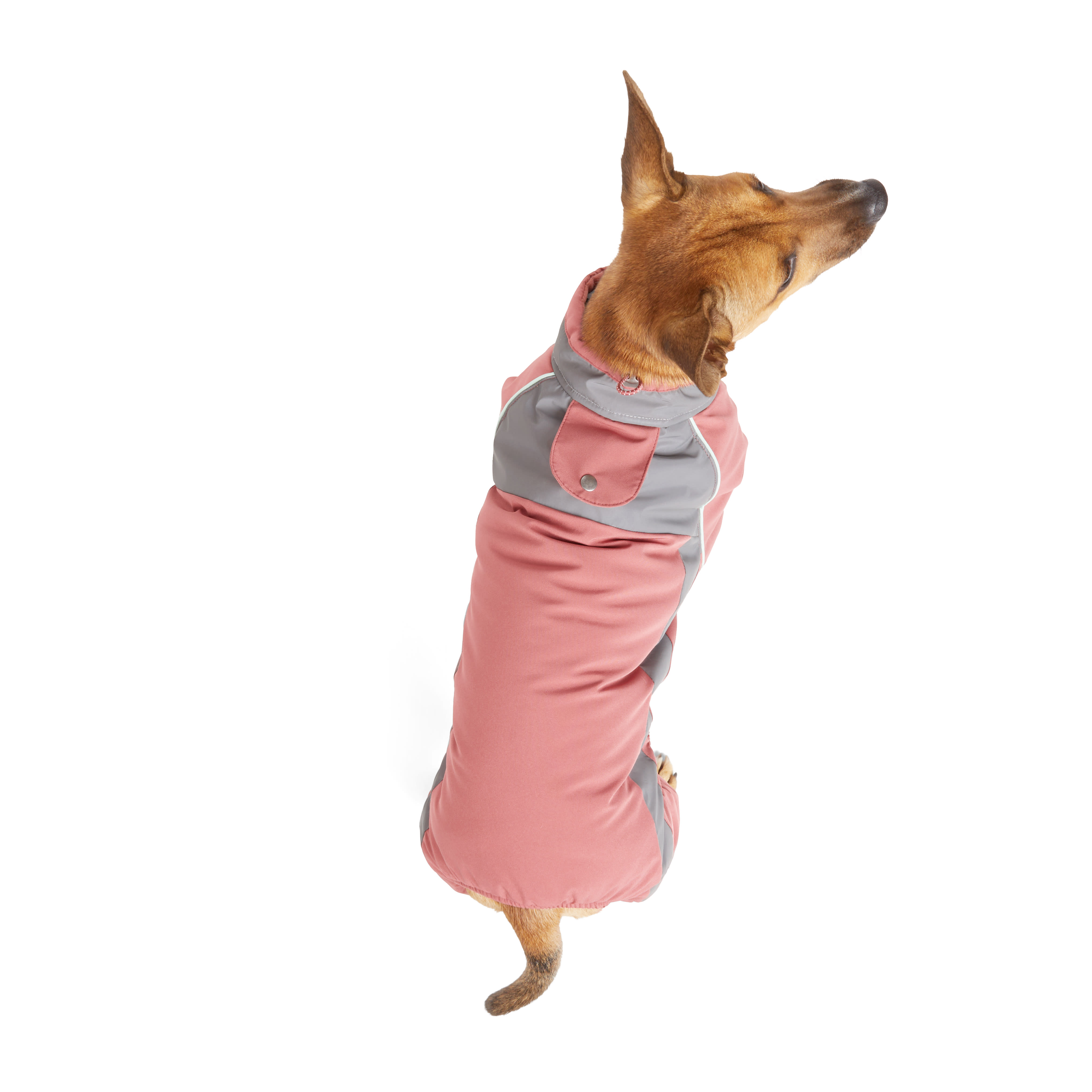 Canada pooch The Snow Suit size 8 which would fit a chihuahua new red ...