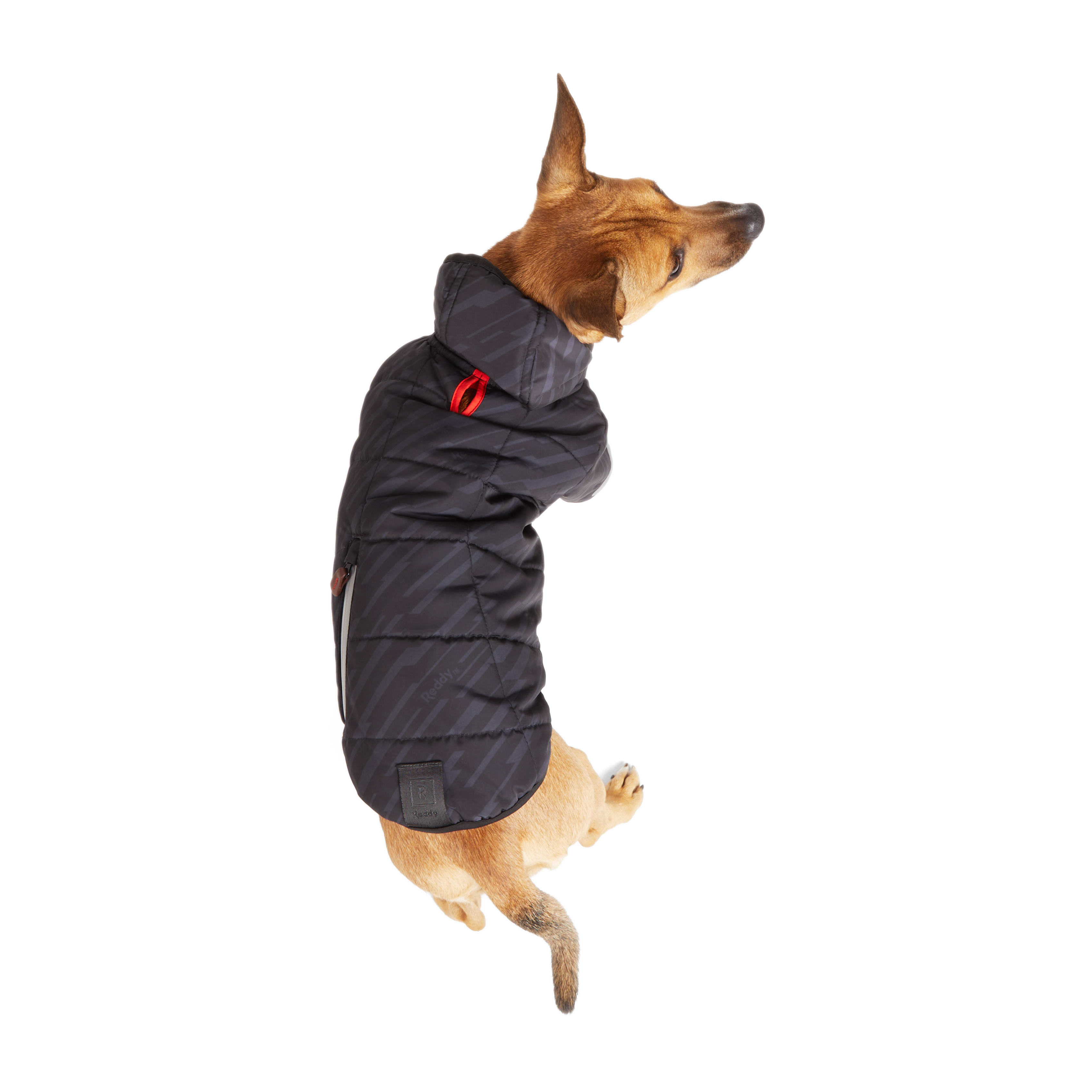 Reddy store raincoat dog