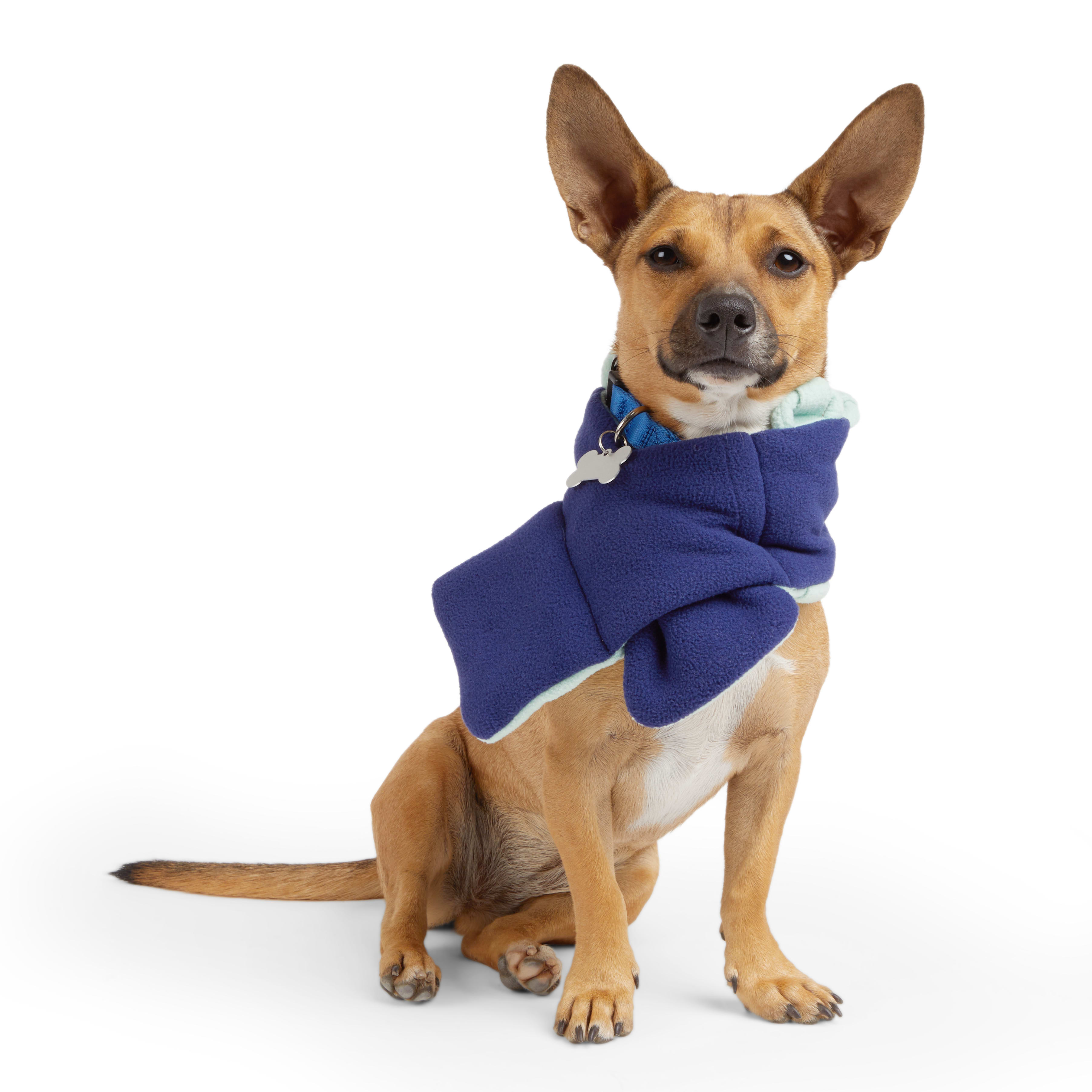 Petco dog on sale scarf