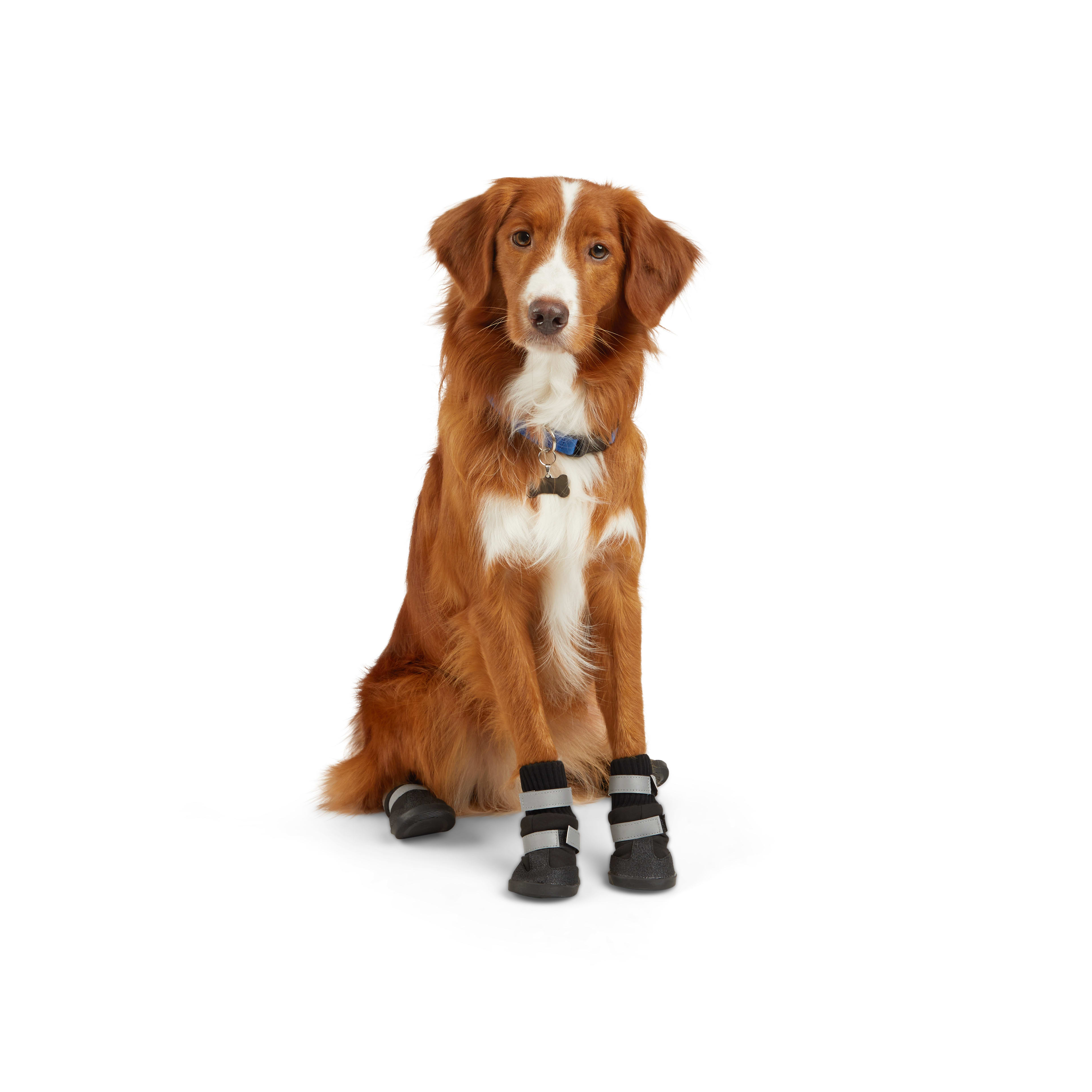 YOULY All Weather Dog Boot Small Petco