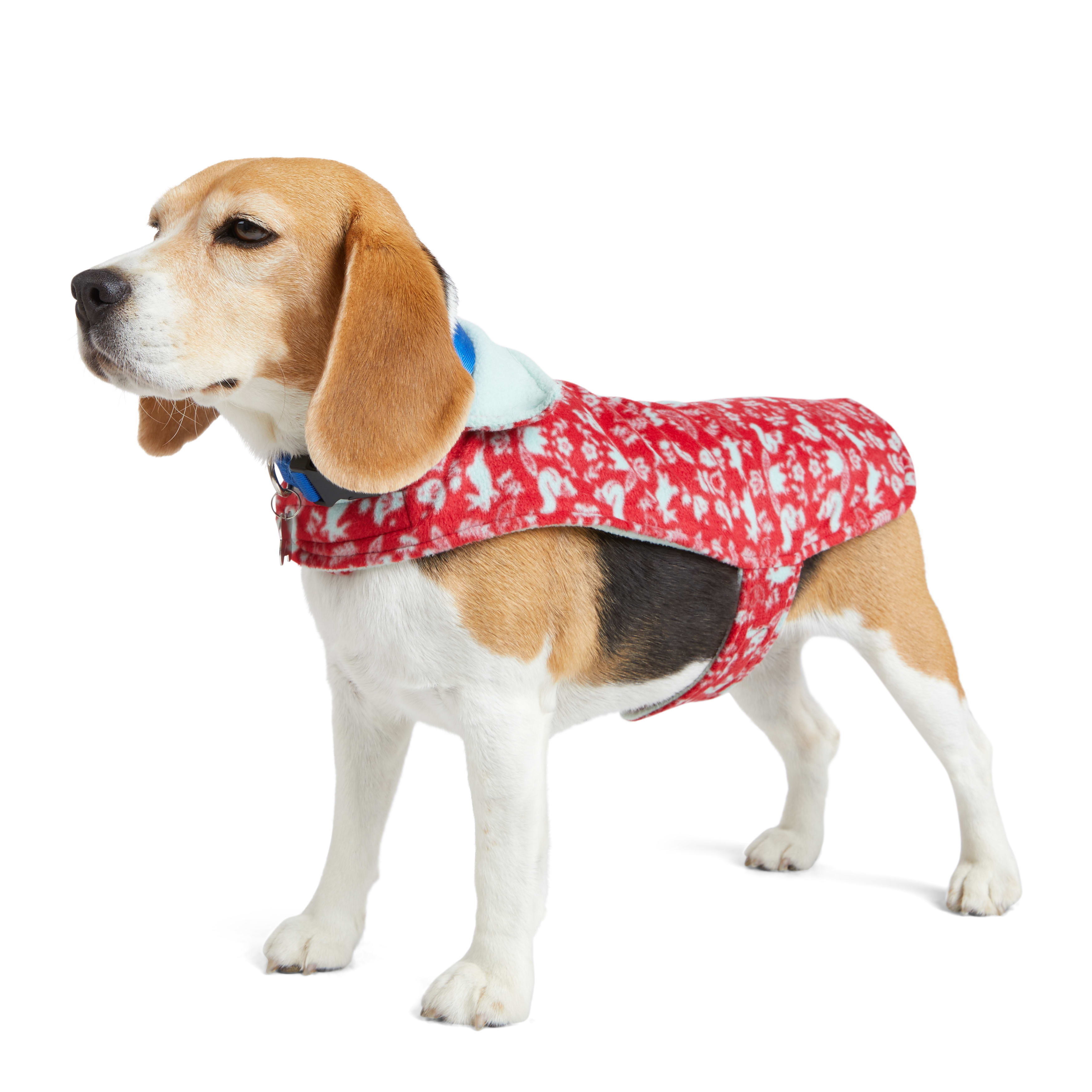 Suitical recovery suit hot sale for dogs petco